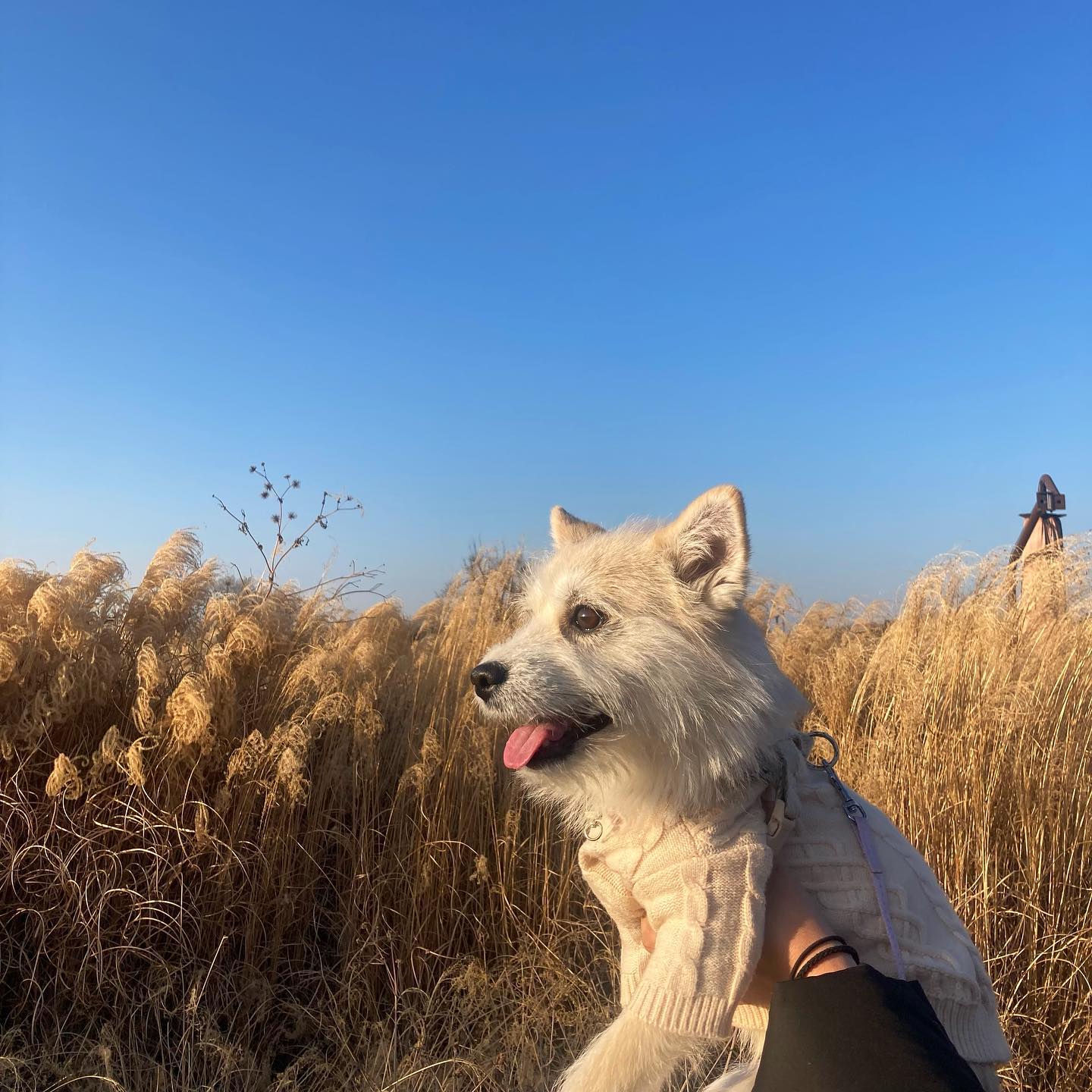 가을 날씨였던 하루🍂