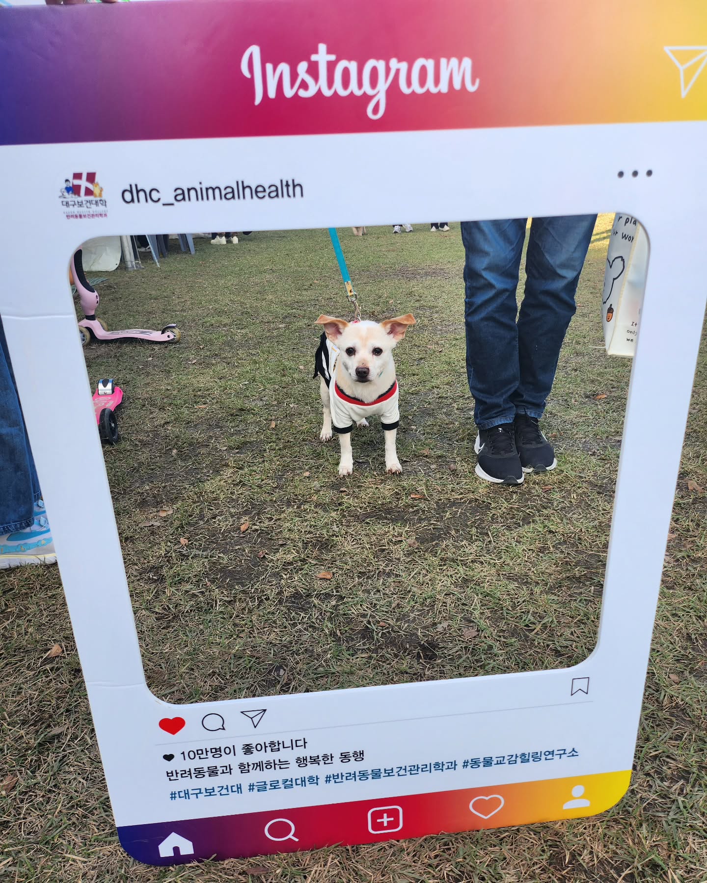 #대구보건대학교 #반려동물보건관리학과 #동물교감힐링연구소 #글로컬대학