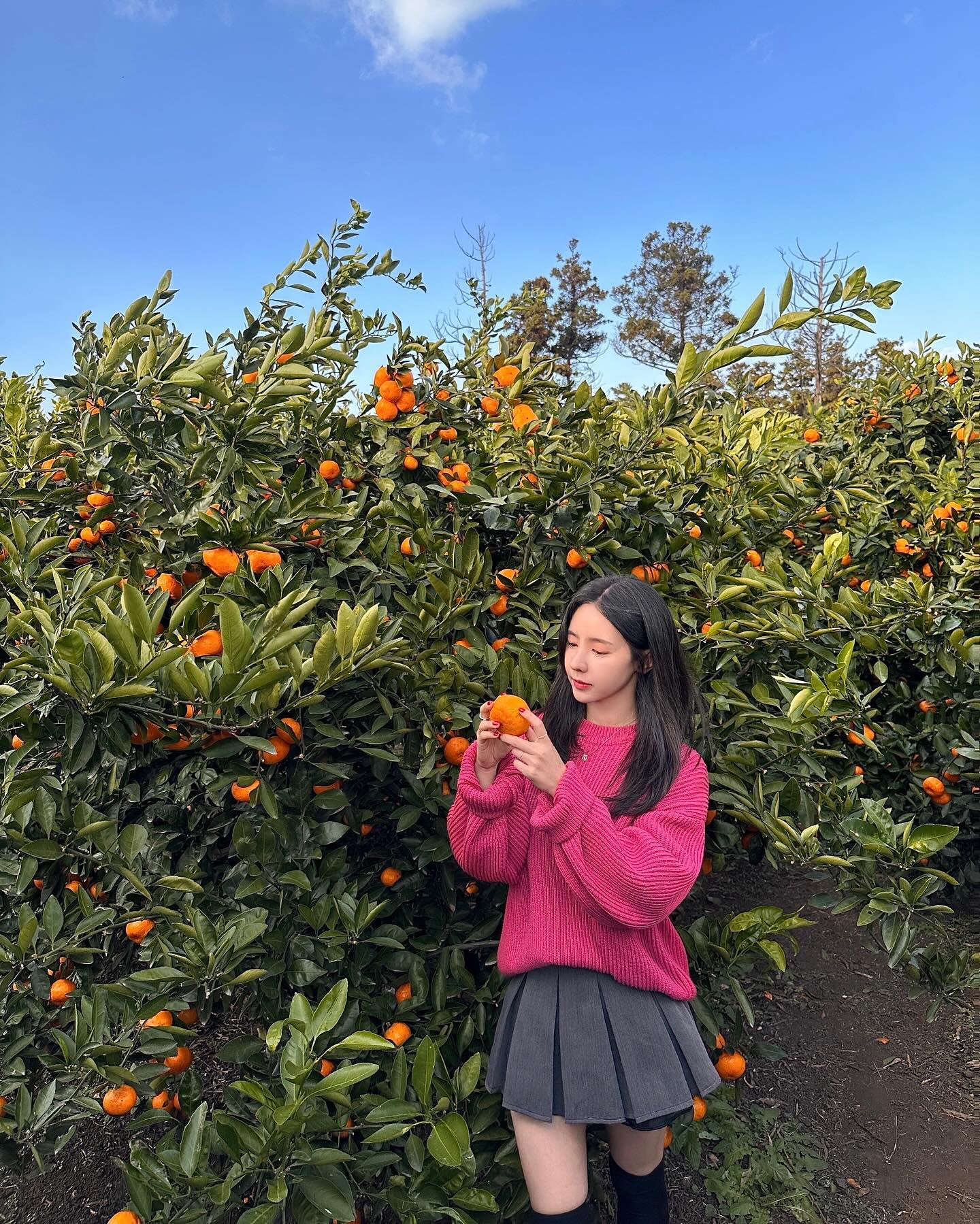 🍊