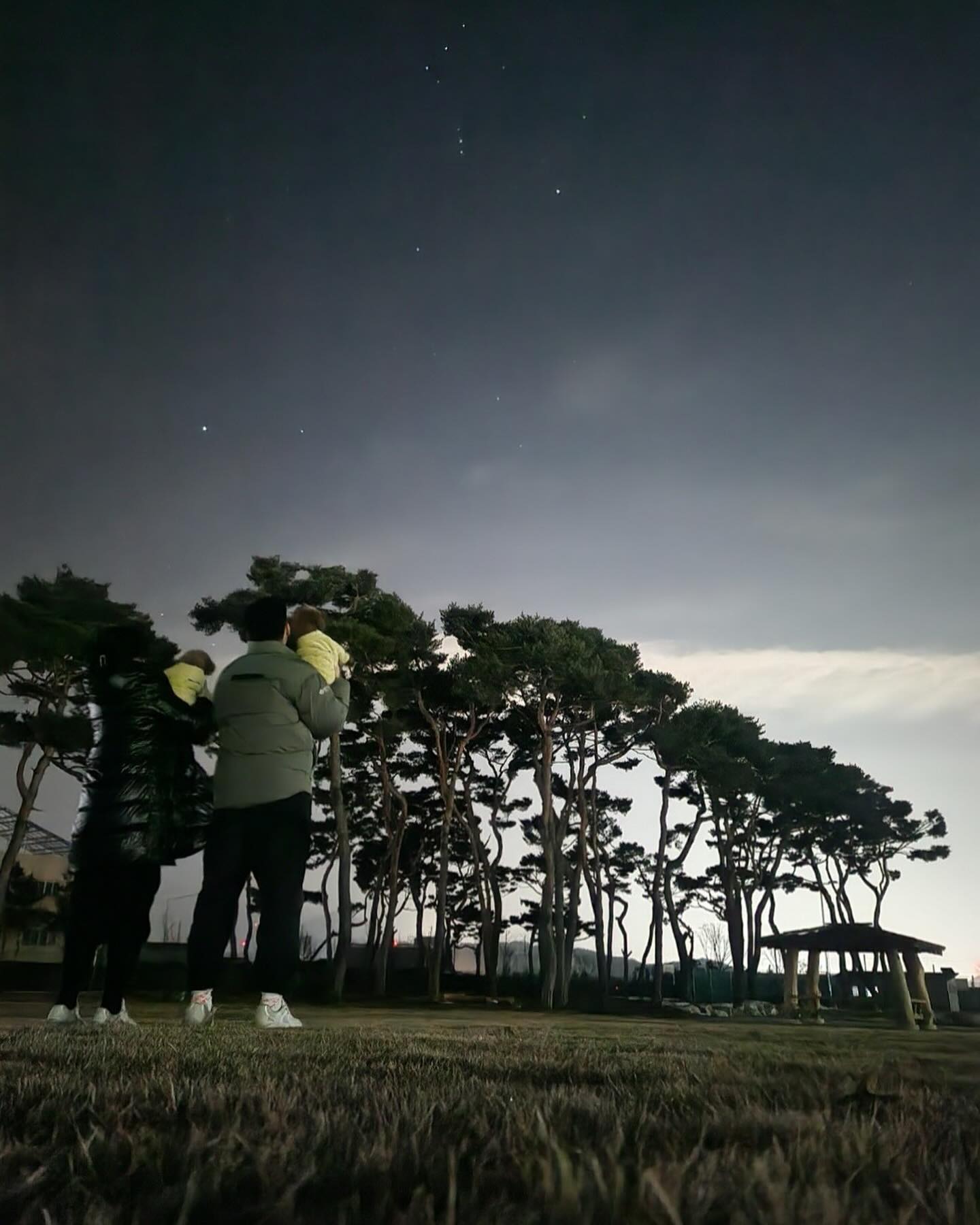 🌟💫✨