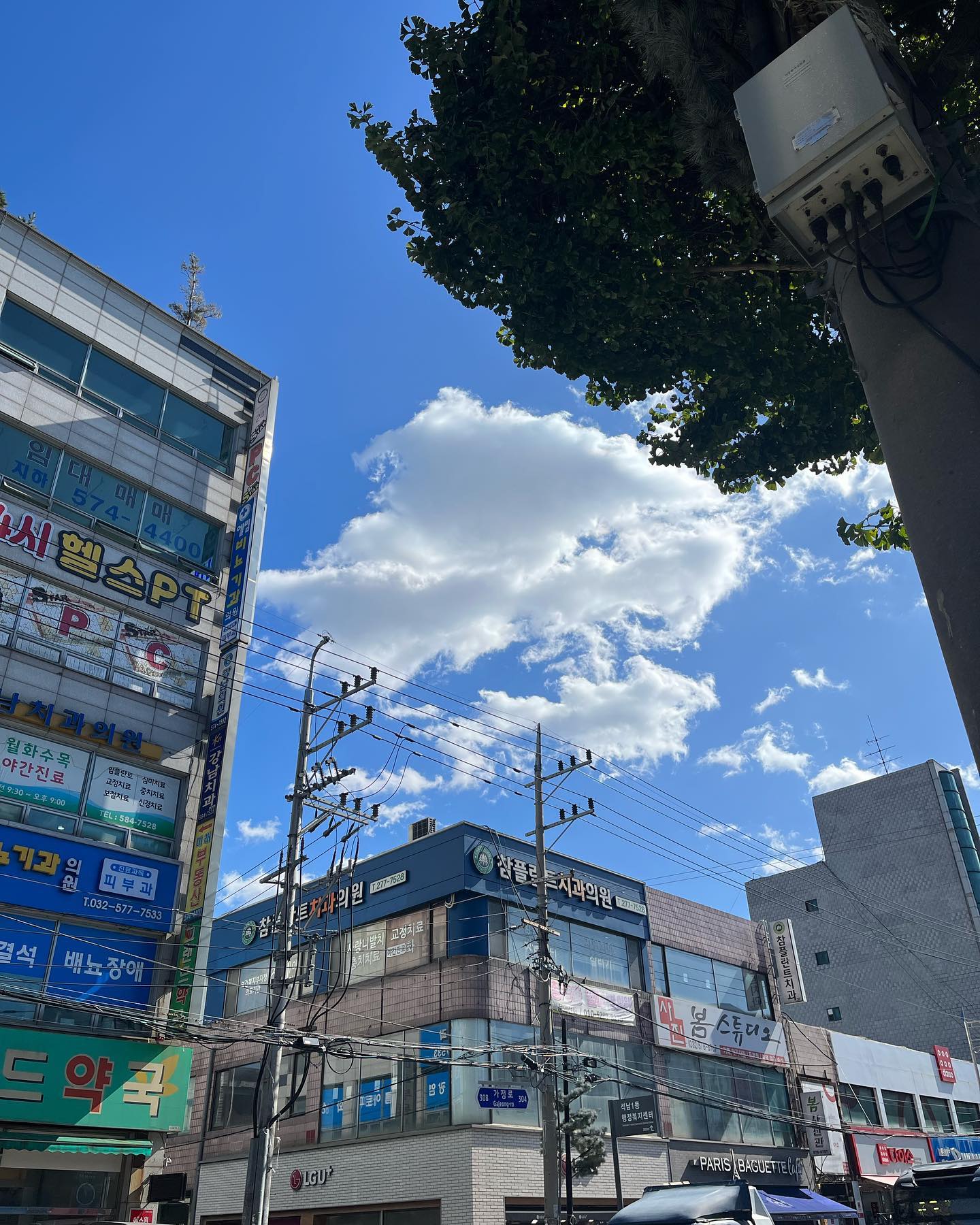 날씨도 최고👍
바람도 솔솔~ 대하 먹기 좋은 날💙
찐어른이들이야 새우 손질부터 상차림까지 찐.으.른.이다❤️
다음에는 3kg은 사야할 듯