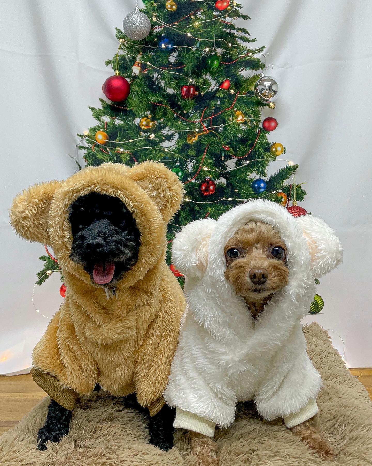 🅜🅔🅡🅡🅨 🅒🅗🅡🅘🅢🅣🅜🅐🅢🎄