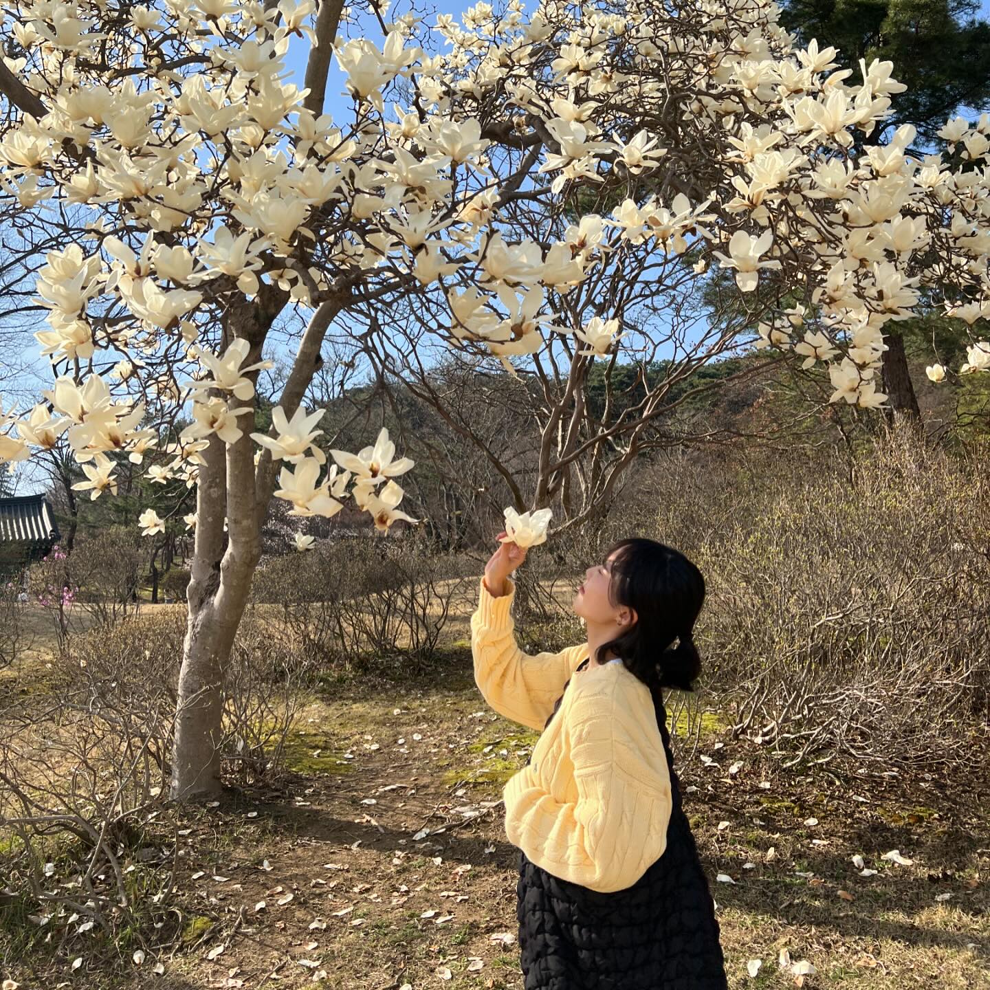 왜 벌써 봄이 끝나는구얌…🌼🌸🌺🥲