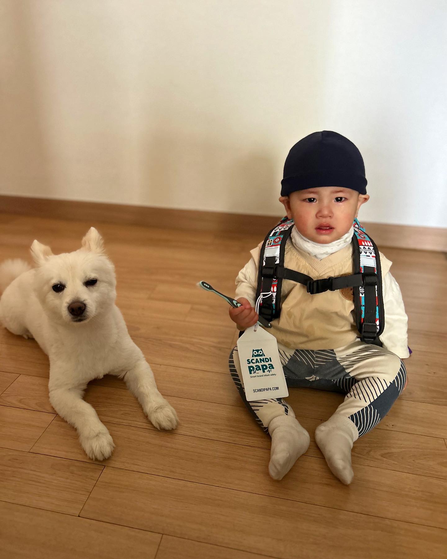 _
이사 하고 새로운 어린이집 적응즁인 시떵이
옮긴 어린이집은 아가들도 너무 사랑스럽고 선생님들도 최고🫶🏻

나가려고 칫솔 달라했는데 뺏기기 싫다고 울먹거리는 중….

울지마 바버야~~~~ 시하 하고싶은거 다해 다치지만 말쟈

#돌쟁이 #11개월 #흑호랑이띠 #아기엄마 #아기스타그램 #어린이집 #등원 #등원룩 #아기모델 #남아옷 #아들맘소통