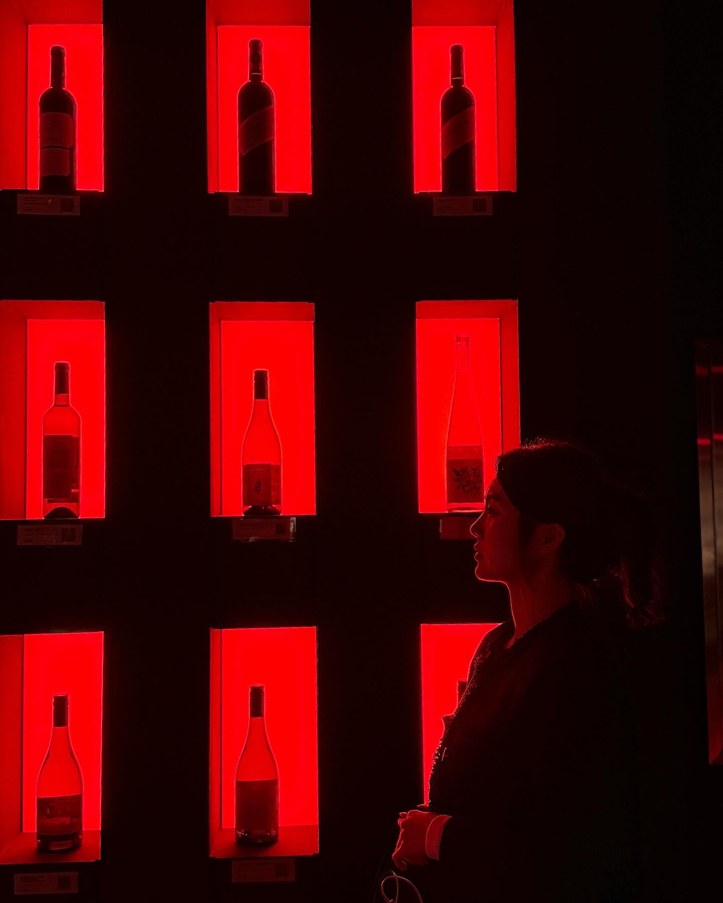 _
불멍하러 ‘무인제주’ 가서 허경환 보기 성공✨