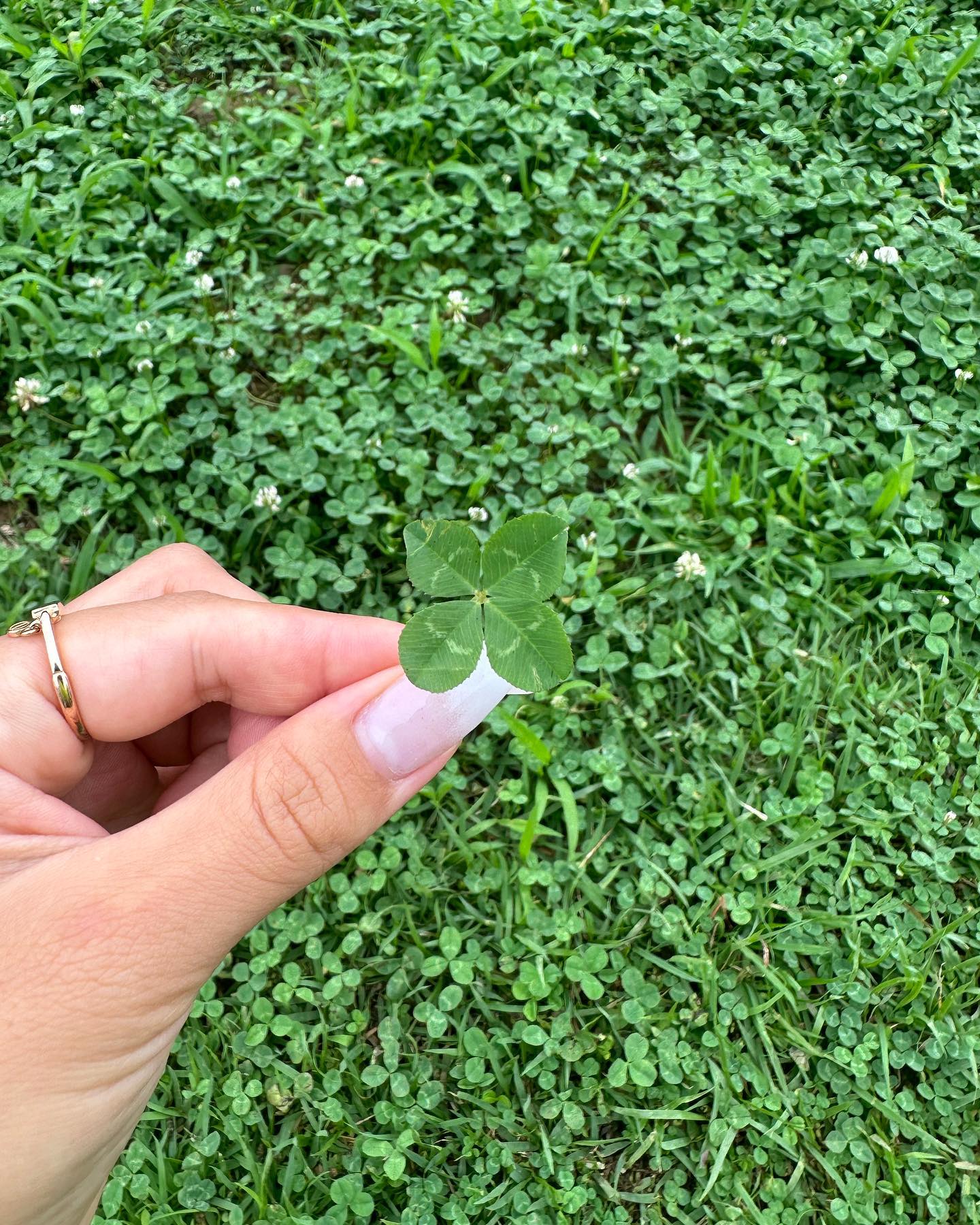아무 생각도 고민도 없이 살고 싶ㄷㅏ🍀