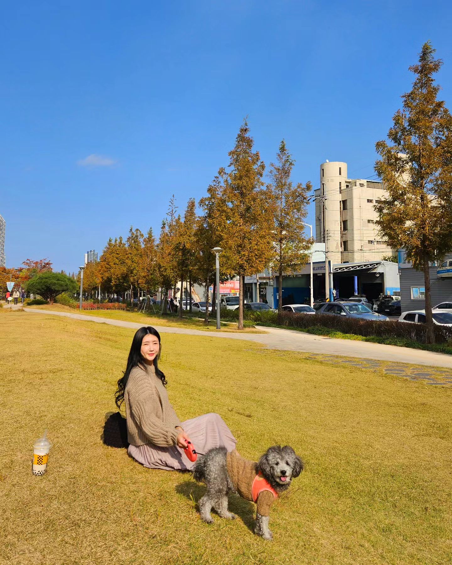 #가을 #포항철길숲 #반려견 ♡
#내사랑 #모모찡❤️ 

가을가을하니..
피곤에쩔어들었지만,
눈부신 #햇살맛집  눈이안떠진다안떠져..

#가을단풍  #가을색
콧구멍에 바람좀 넣어본 뇨자둘🥰

--‐-‐------------------------------------------------------

#instagood #instastyle #instadaily 
#instalike #instapic #instamood 
#instafashion #dogstagram 
#dailylook #photooftheday 
#likesforlike #life #pet #공감 #일상
#소통 #힐링 #좋아요 #좋반 #좋댓
#포항산책길 #댕댕이일상