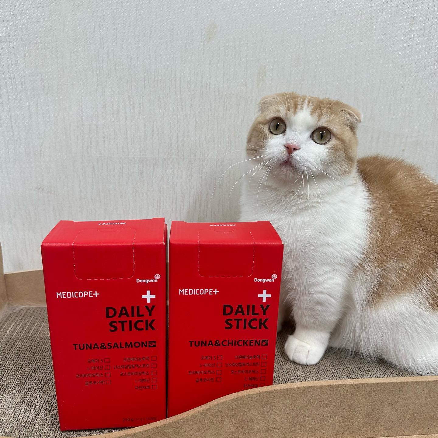 #협찬 #체험단
메디코펫 데일리 스틱 2종 🐈

메디코펫 x 동원 콜라보로 만들어진
데일리 스틱 츄르형 영양제🫶🏻

맛은 2가지로 참치&연어, 참치&닭고기 🐟

신장질환 아이들도 섭취 가능하도록
나트륨, 인 함량을 최소화 하였대요 👍

신장 질환이 있는 친구들에게는
이제품이 희소식이겠어용😻

성분, 함량 모두 공개 이부분 정말 맘에 들어요 ✨
부산물, 색소, 감미료, 보존제 등 무첨가

성분 다음으로 중요한건 기호성인데
비지는 처음부터 잘 먹어줬고
보리가 흠칫, 멈칫하더니 그후로 잘 먹어주더라구요

아무래도 저염이다보니 기호성은 조금
떨어질 수 있다는 느낌이 있을 수 있습니다

그래도 두 아이 모두 먹어줬고 비지는 보리가 먹을 때
옆에서 기웃거리며 눈빛이 아주 원츄원츄 🥹
비지 입맛엔 역시나 다 맛나나봐요 ㅎㅎ

철저한 품질검사 & 안전한 제조환경
동원의 펫푸드 전용 설비에서 엄격한
품질 관리 공정을 거쳐 만들었다니 믿고 먹일게요 (*´∀`*)
 
 
 
🏷️ medicopet_official
 
 
 

#메디코펫 #데일리스틱 #메디코펫데일리스틱 #고양이츄르 #고양이스틱 #고양이간식 #고양이영양제  #고양이하루영양제 #고양이하루종합영양제 #고양이종합영양제 #좋테 #좋반 #먼치킨숏레그 #먼치킨킬트