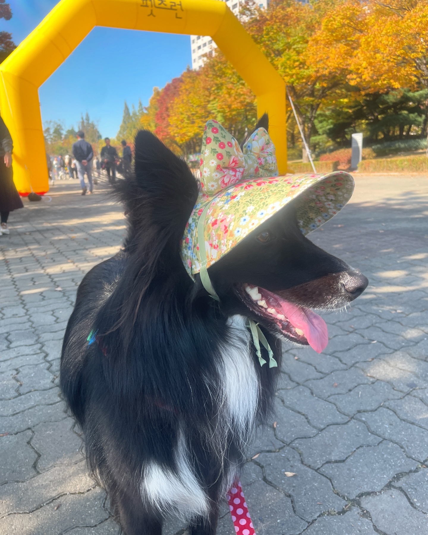 달콤👒
너무너무 귀여워🥹
💕💕💕💕💕💕💕💕