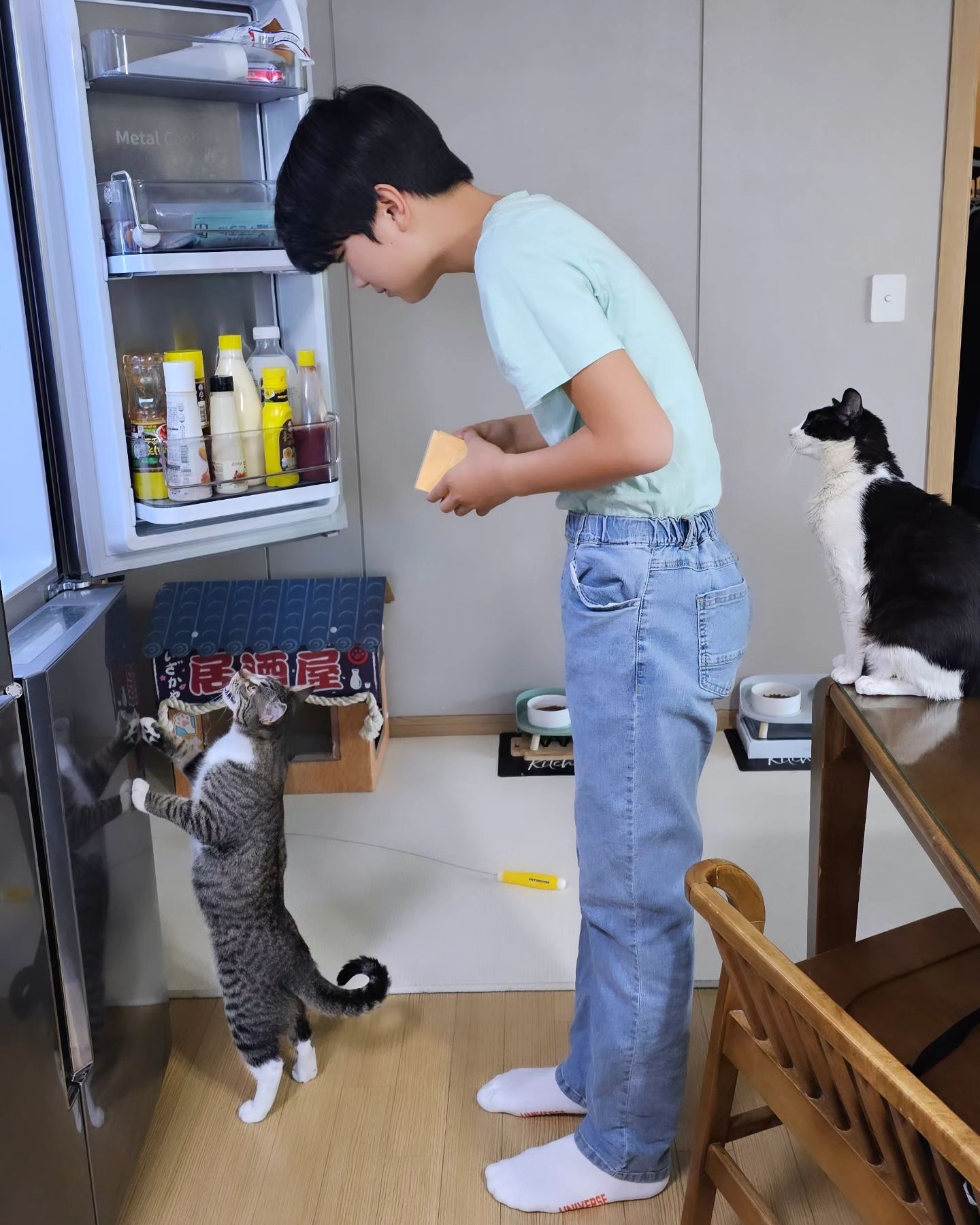 진짜 너네 너무 웃겨!! 🤣🤣🤣🤣

냉장고문 열 때를 기가 막히게 알아서는 달려드는 꼬미랑 레오😂
건우가 치즈 꺼내는데 자기들 간식주는 줄 알고는...😅
꼬미는 건우 등타고 냉장고로 들어가는 줄~😆🤣

#오늘아침
스스로만들어먹는 #아침메뉴
부지런한 #큰아들
#아들그램 #고양이 #반려묘