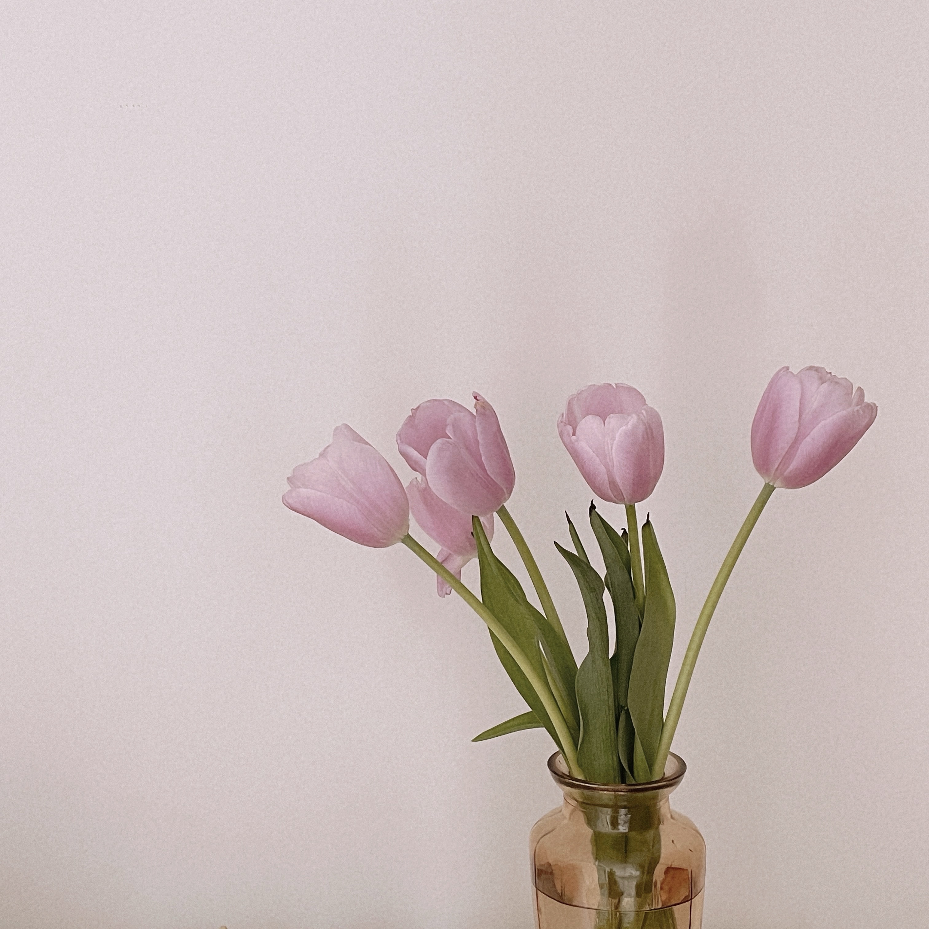 ♡༘