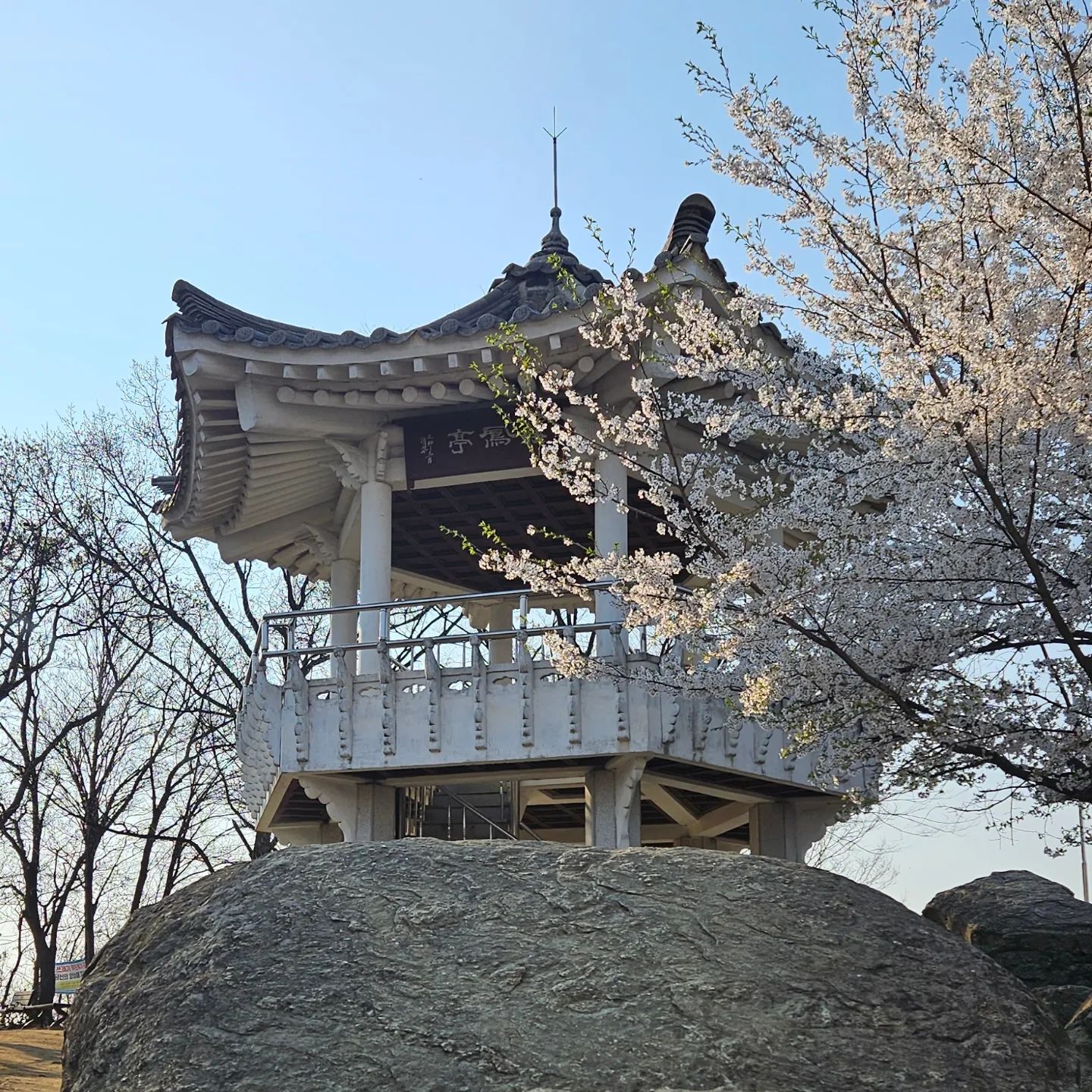 .
봄봄봄 🌸