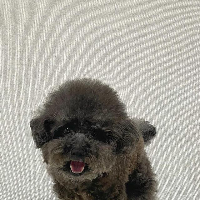 귀요워서 요미 on Instagram: "#광고 울엄마 드디어 다이어트 성공?!! 칼로리 컷! 탄수화물 컷! 초간편 전자레인지 저당밥솥 탄수화물 중독 엄마에게 요미가 주는 선물! 네이처 그린라이프 ‘칼