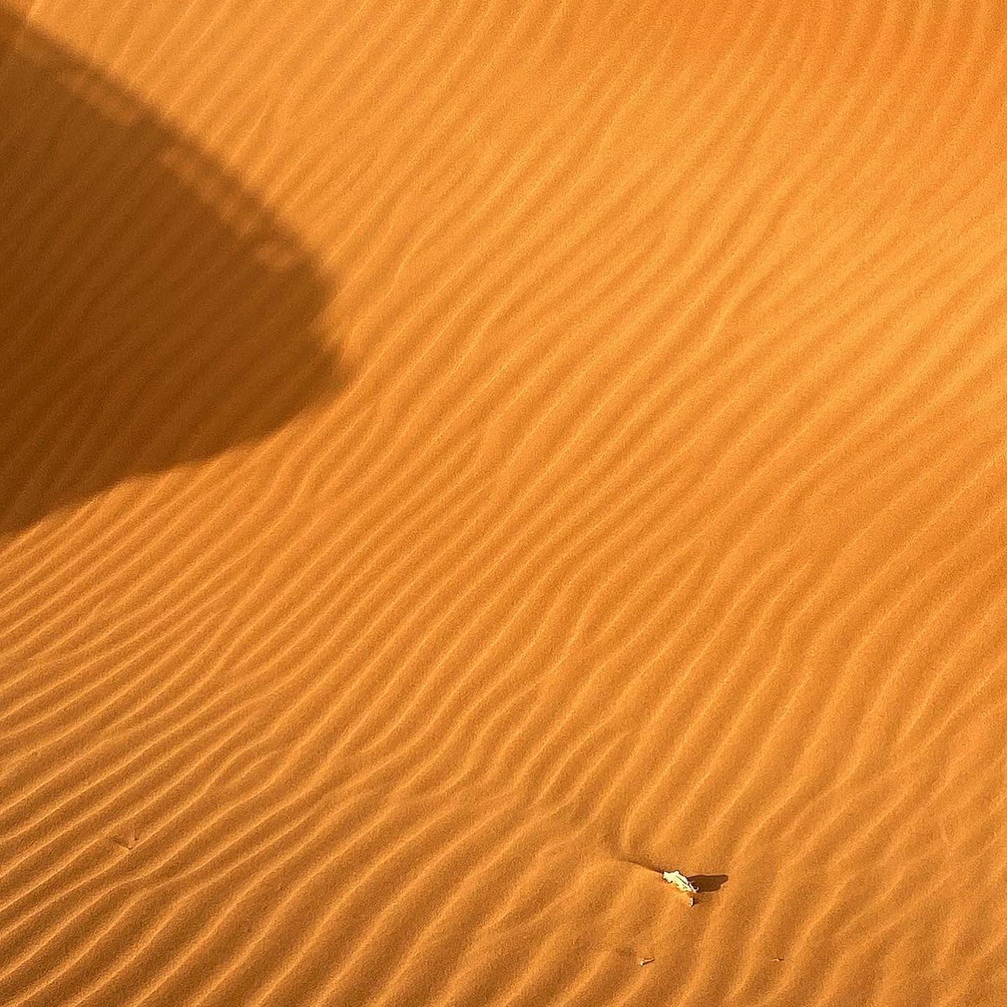 🏜️