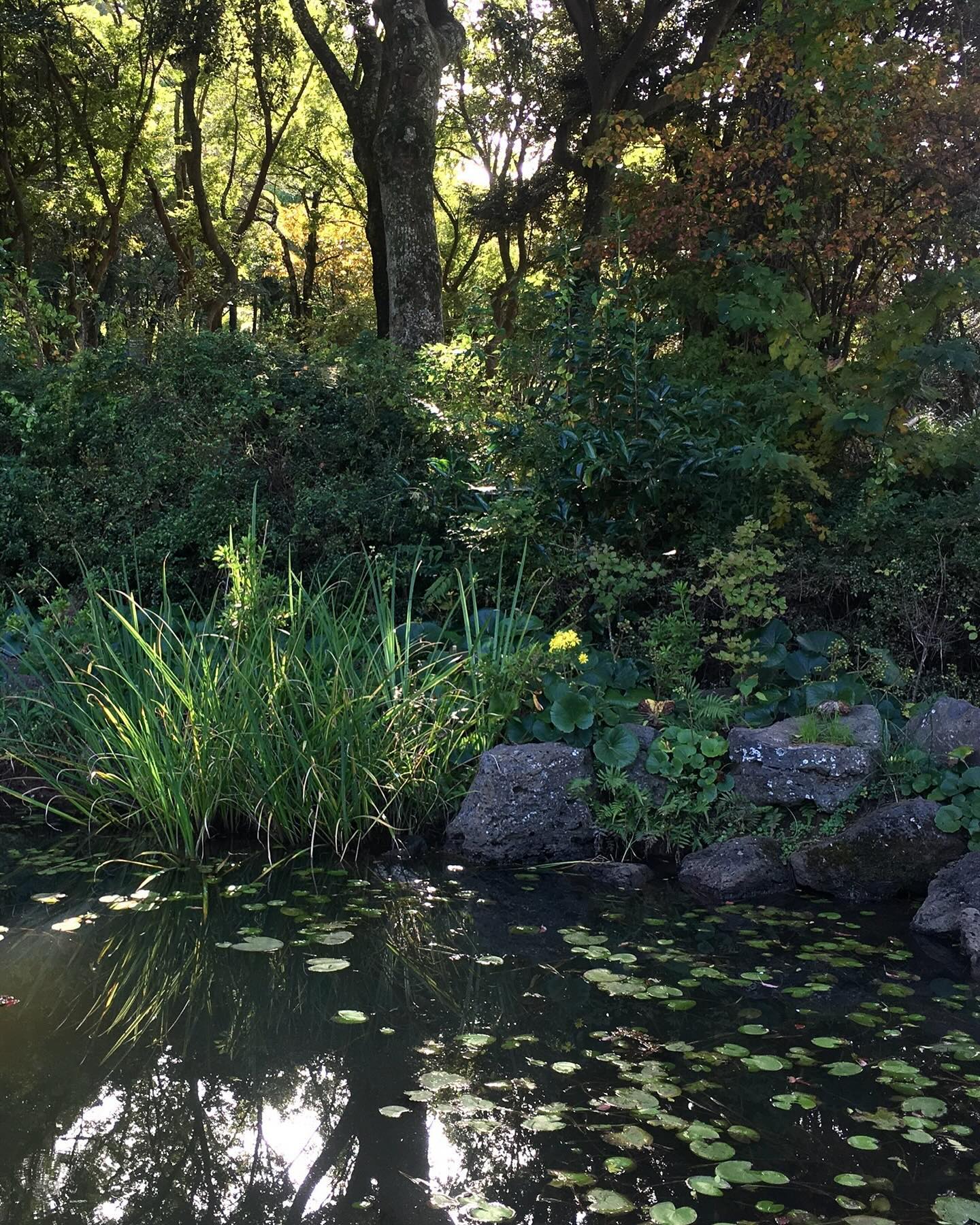 10月 19日