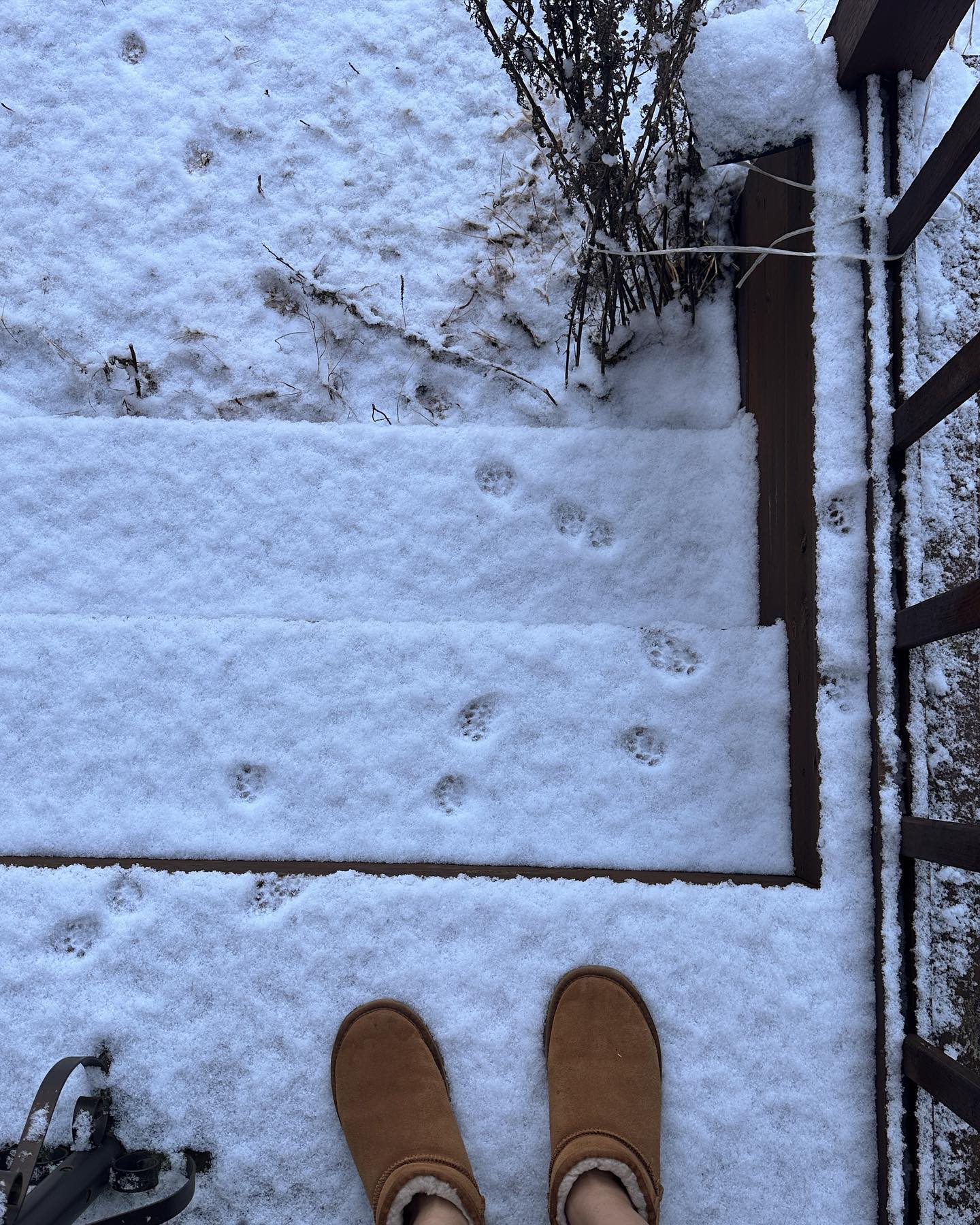 귀여운거 모음🐾