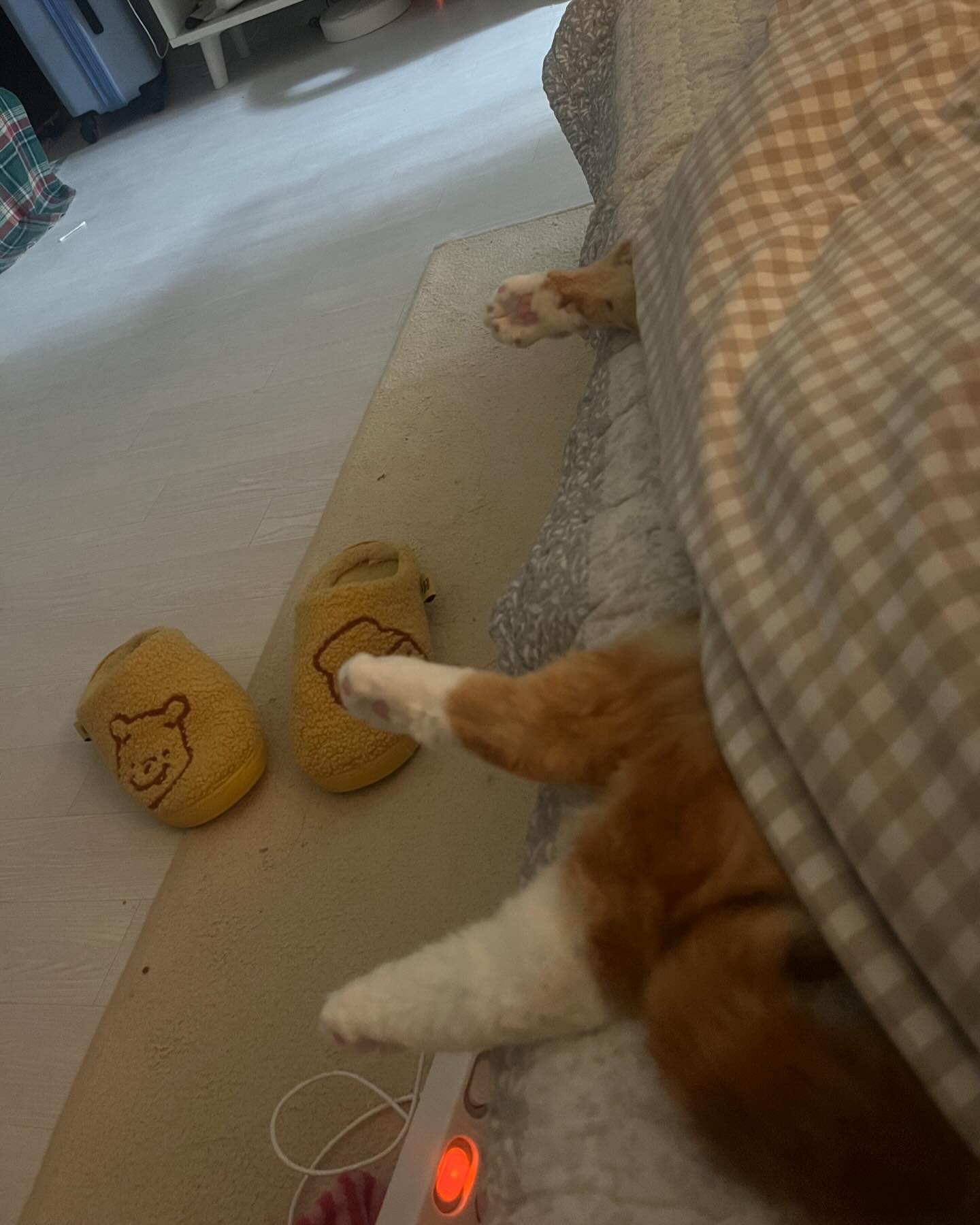 그...숨은 쉬고있는겨??