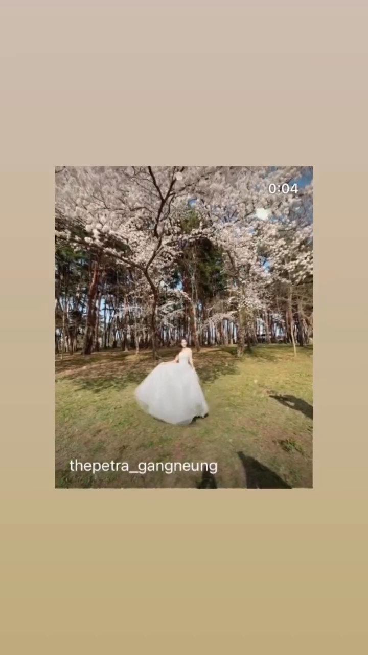 콘텐츠