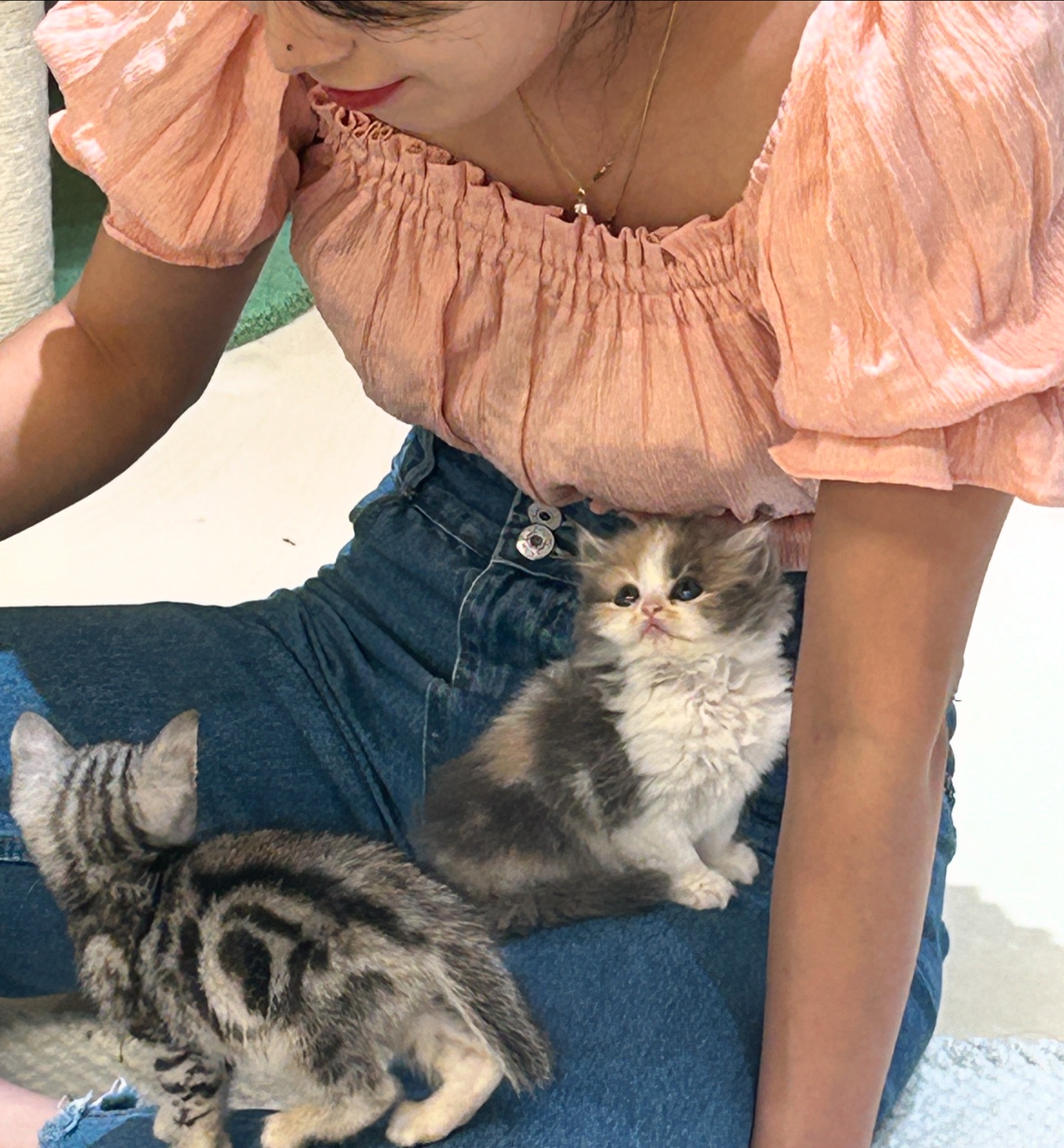 냥이 모음집🐾
이날 정말 행복했다구..
마지막 꼭 바죠

#냥이 #내가 #꼭 #데리러갈게❤️