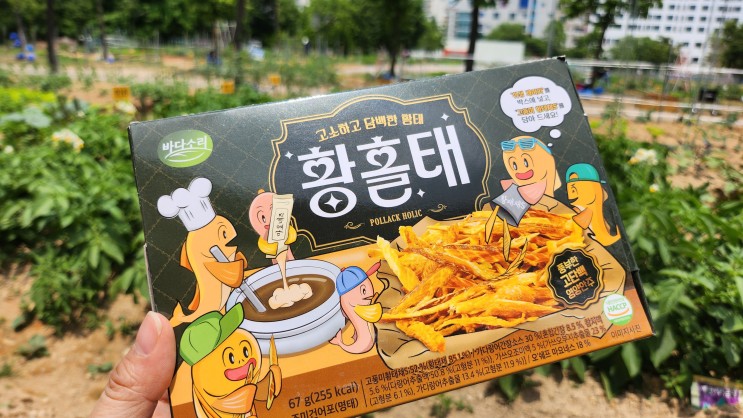 피크닉 간식, 맥주 안주로 최고! 황홀태, 고단백 다이어트 간식 & 술안주 추천