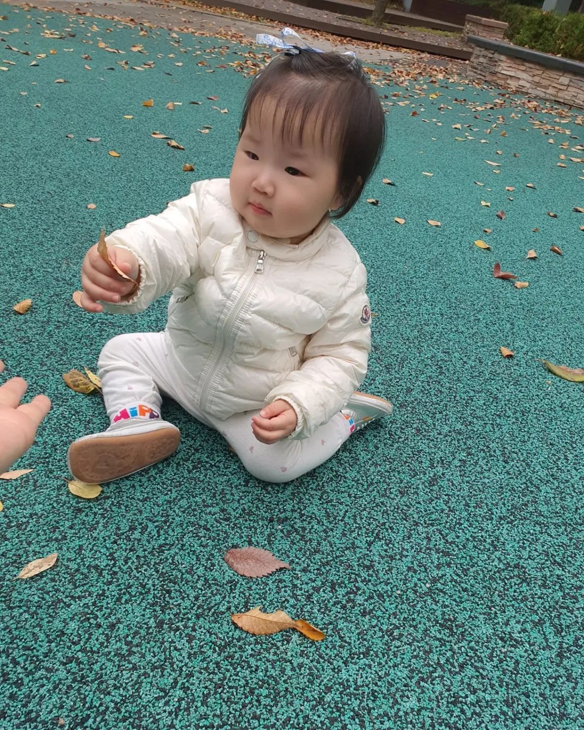 엄마랑 아침산책 🍂

낙엽이 된 나뭇잎도 만져보고 조약돌도 맛보고
개미도 쫒아가보고 🤭
#날이좋아서날이좋지않아서날이적당해서모든날이좋았다 #율리더베이비 #돌아기 #흑호랑이띠아기