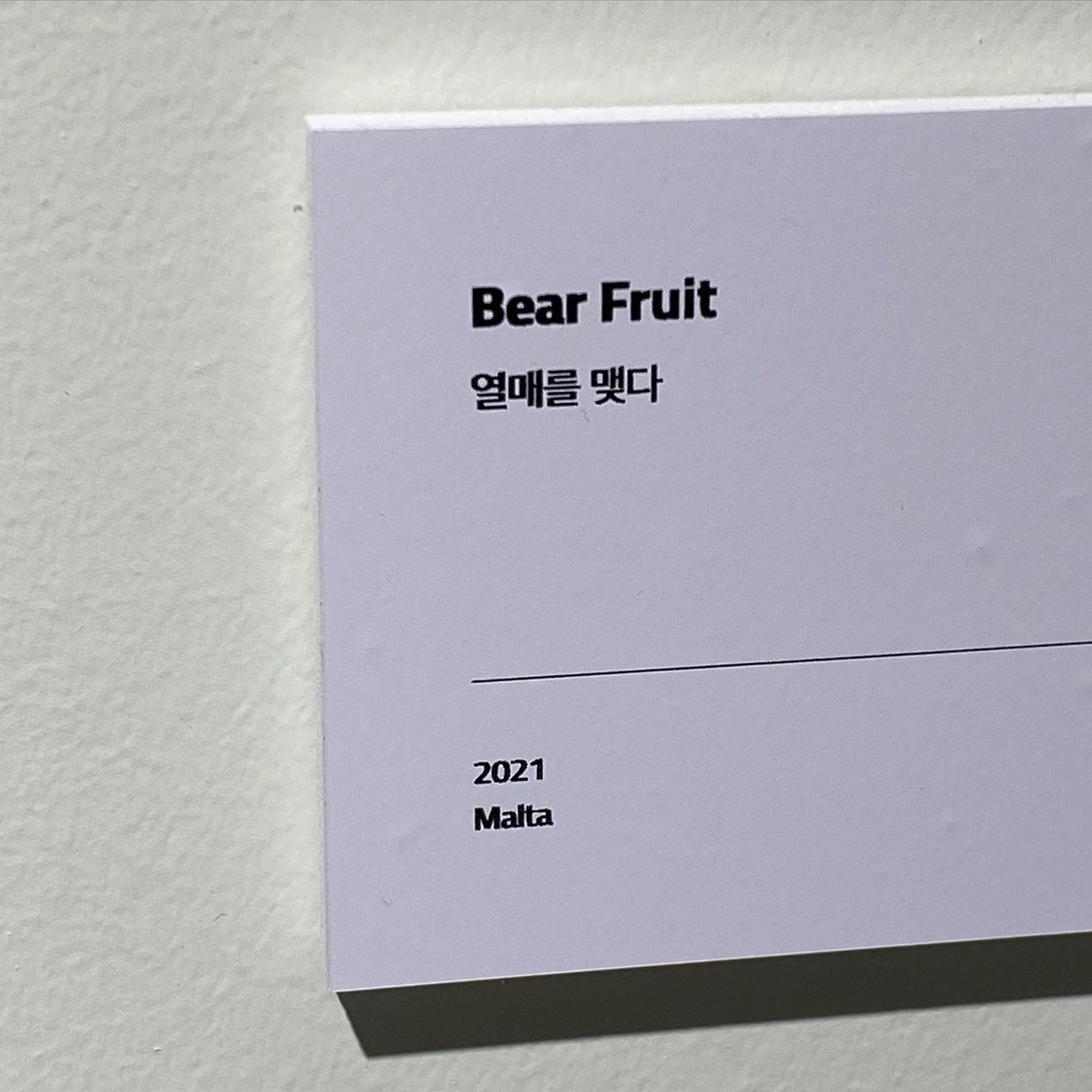 테레사 프레이타스 사진전
