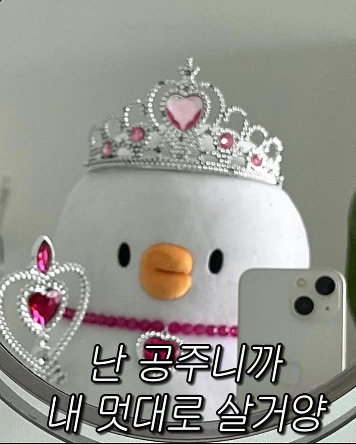 7월 행복 기록 ☘️