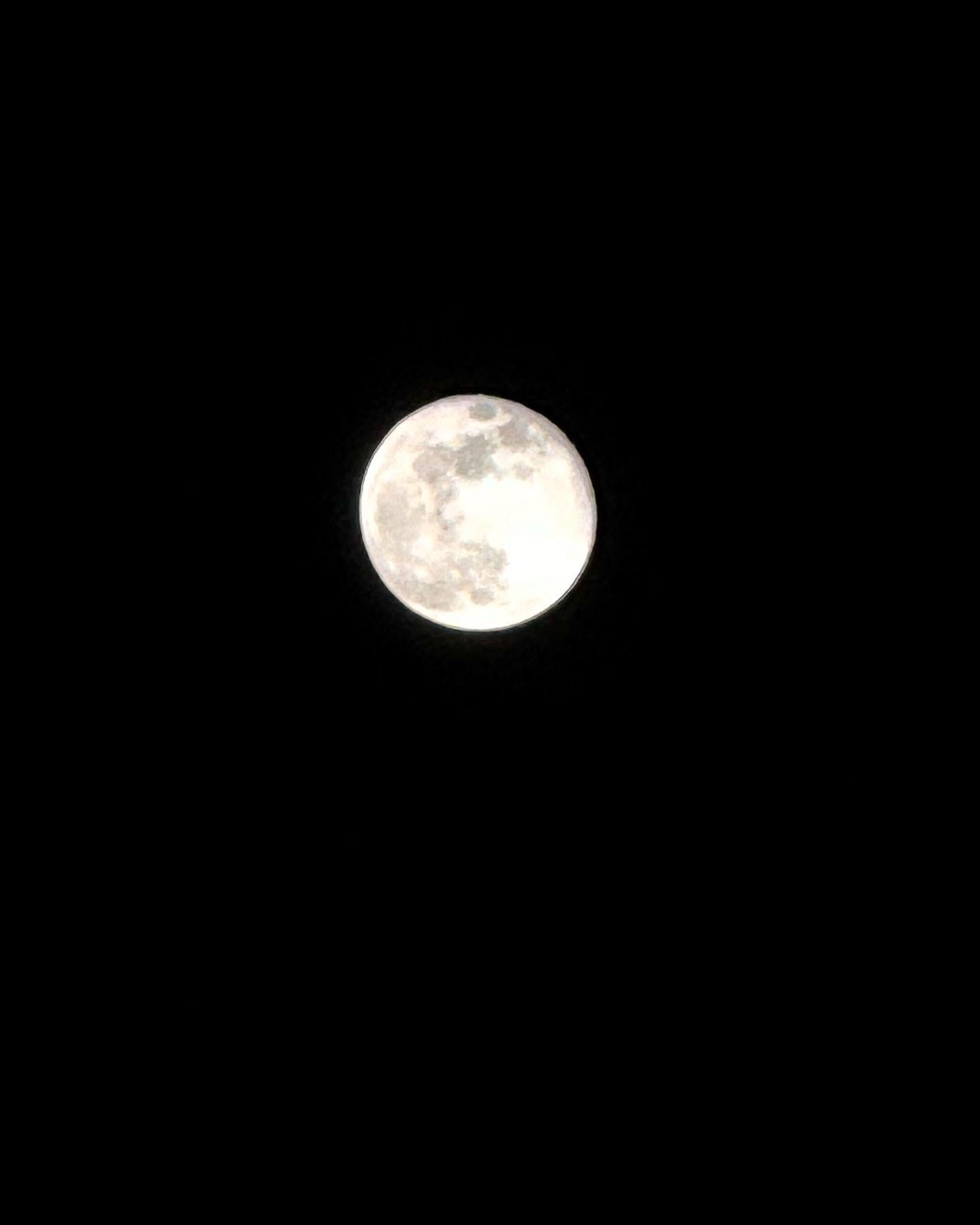 Moon💛