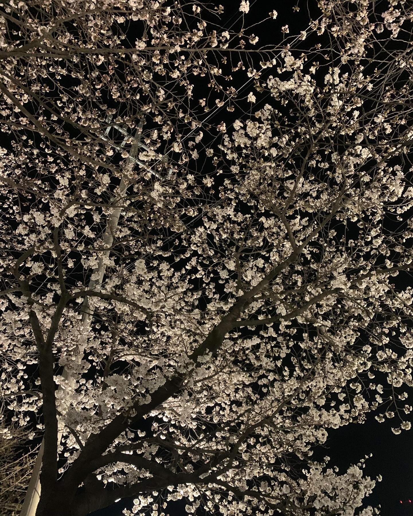 콘텐츠