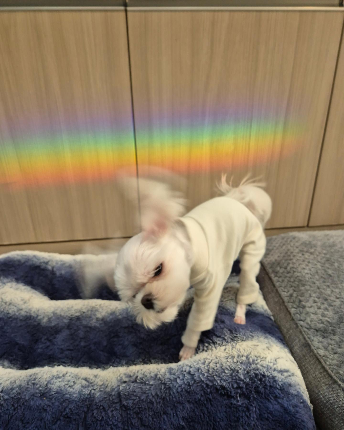 🎶🎵🎶🔊신나 신나 흔들어 재껴⚡️⚡️🎶