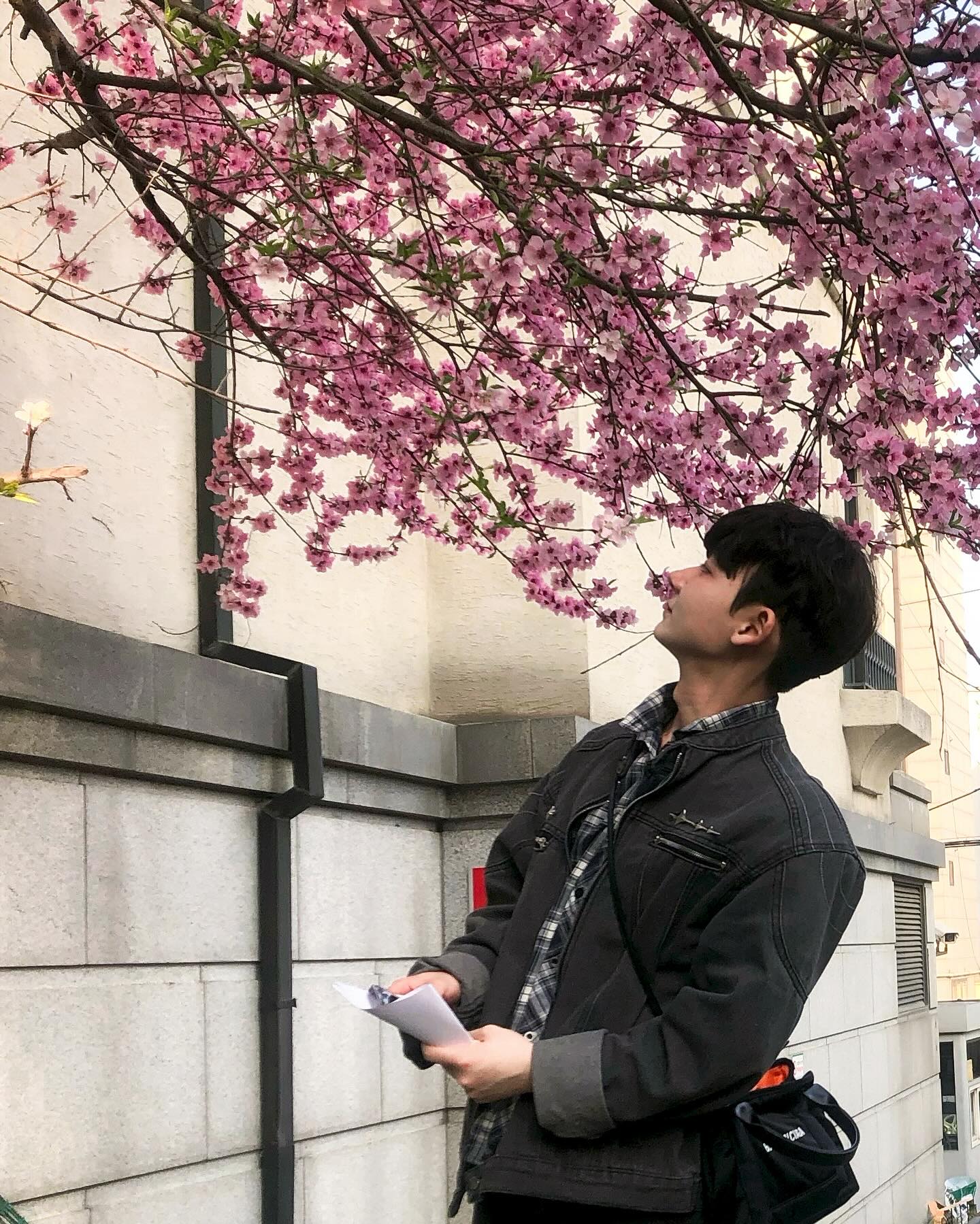 필름에 빠져버린 상태로 벚꽃 막타