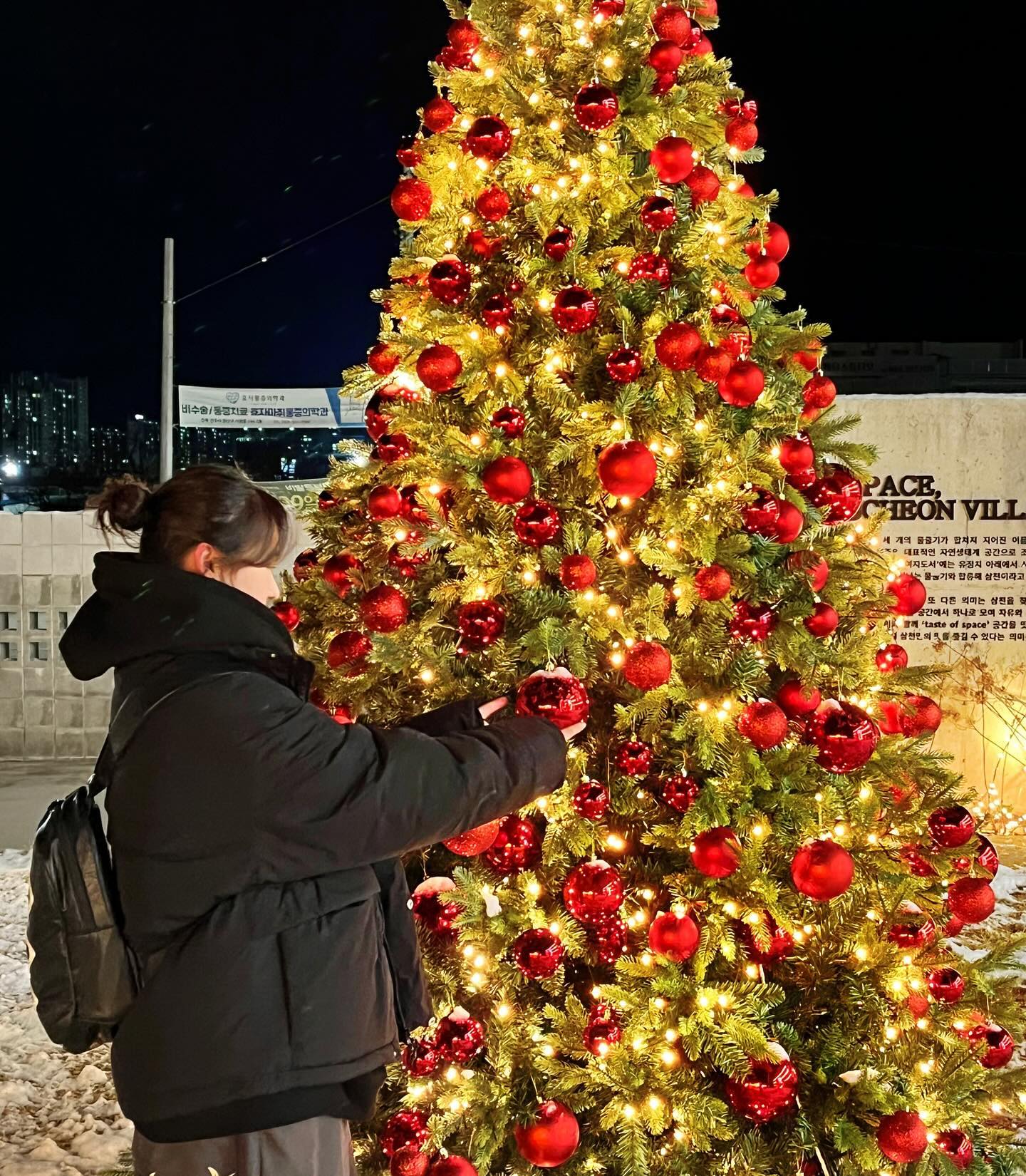 추워도 트리는 조와🎄❤️✨