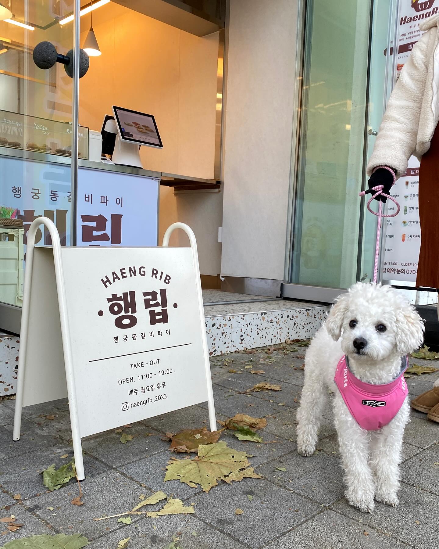 #협찬
행궁동 놀러간김에 들린 갈비파이집 !! 

✅ 매콤옥수수파이 .. JMT 
은근히 매운맛에 빠삭한 패스츄리 조합✨ 
✅ 피크닉세트 대여가능 !
테이크아웃해서 행궁동 나들이하면 딱이에요🫶

쫑이 넘 예뻐해주셔서 감사합니다💛
다음에 또 올께요🫶 

매장정보 👉 haengrib_2023 

#행궁동카페 #화성행궁카페 #행궁동디저트 #행궁동신상카페 #행궁동파이 #수원디저트 #수원갈비파이 #행궁동맛집 #행궁동카페거리 #수원데이트 #행궁동카페추천 #화성행궁카페 #행궁동빵집 #행궁동테이크아웃 #행립