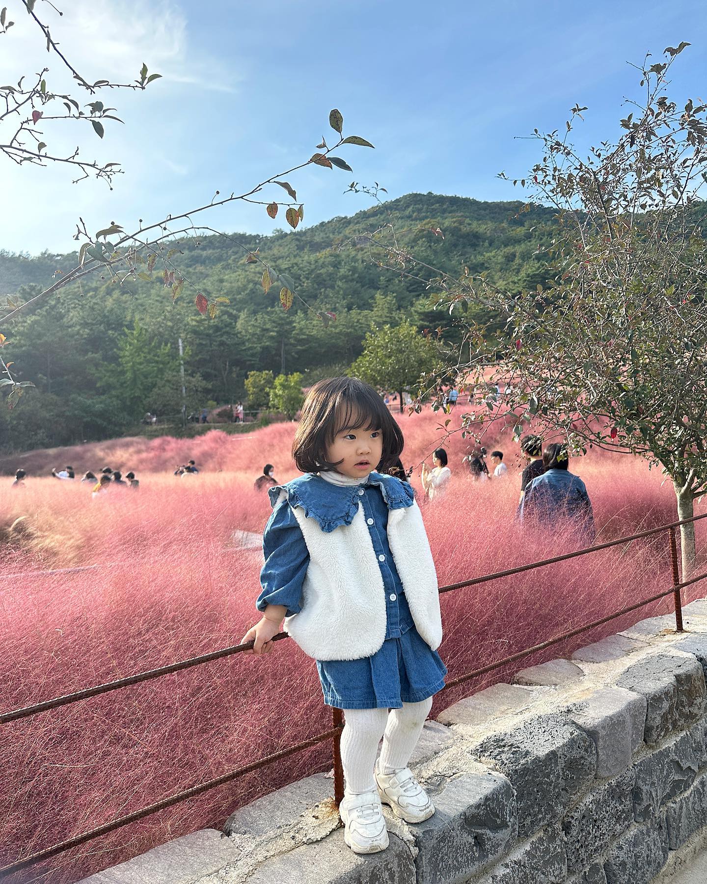 단독샷 키가작아 핑크뮬리에 묻히고 
꼬모의 목마노력에도 건진게없고..(꼬모고생했긔..)
밖에나와서 사진찍어주기 ㅋㅋㅋㅋㅋㅋ
그래도애뽀 내딸 💓