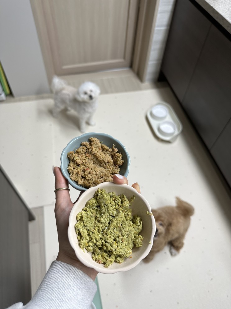 [강아지화식] 영양사가 만든 건강한 화식 다운타운펫츠 반려견 화식 수제사료