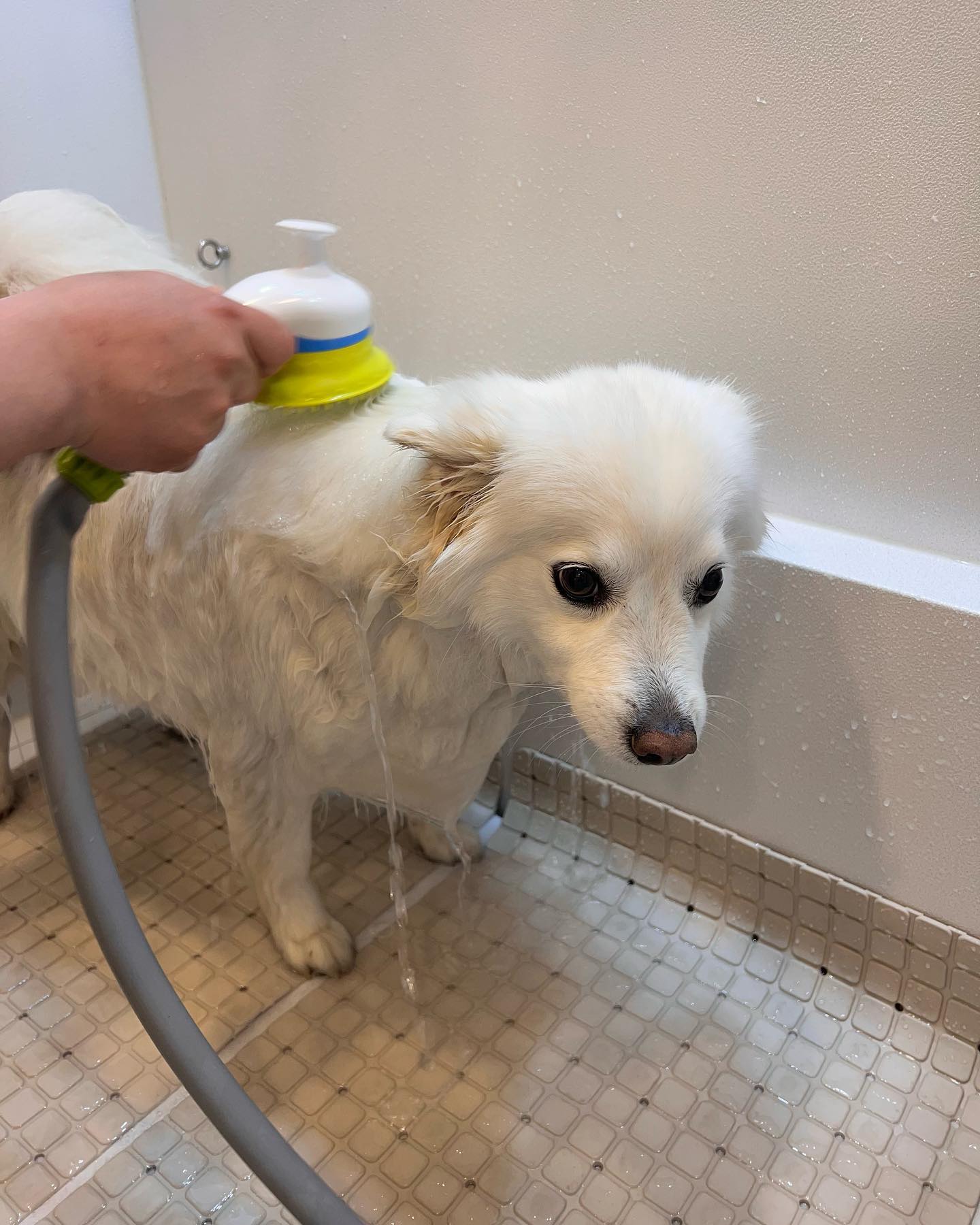 목욕하고 왔ㄷr..🛀🏻 (3개월만에 한건 비밀이야)