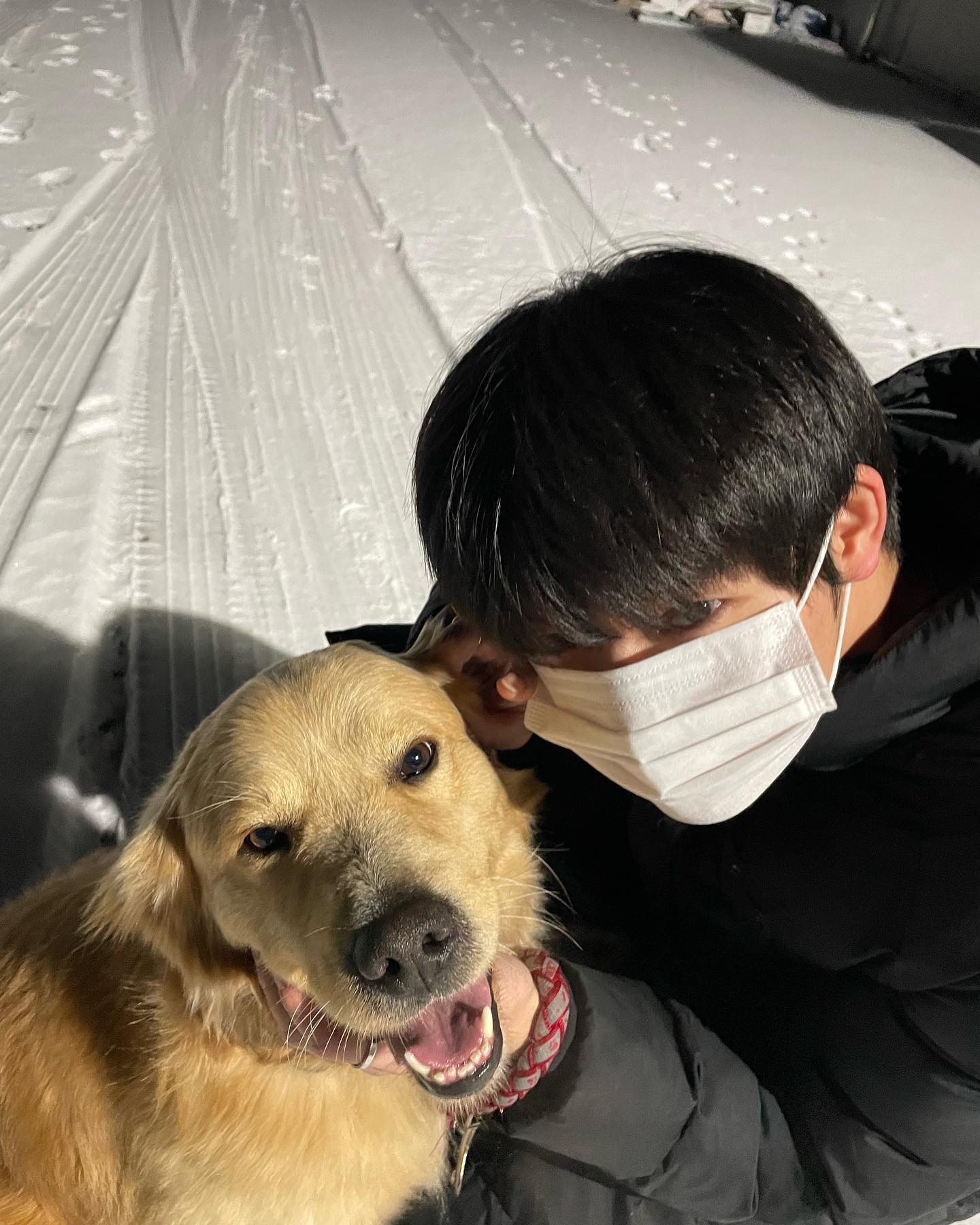 세상에서 제일 착하고 예쁘지만 누나보단 형을 더 좋아하는 감자랑 올 여름엔 물놀이 가기 ..모메모..메모