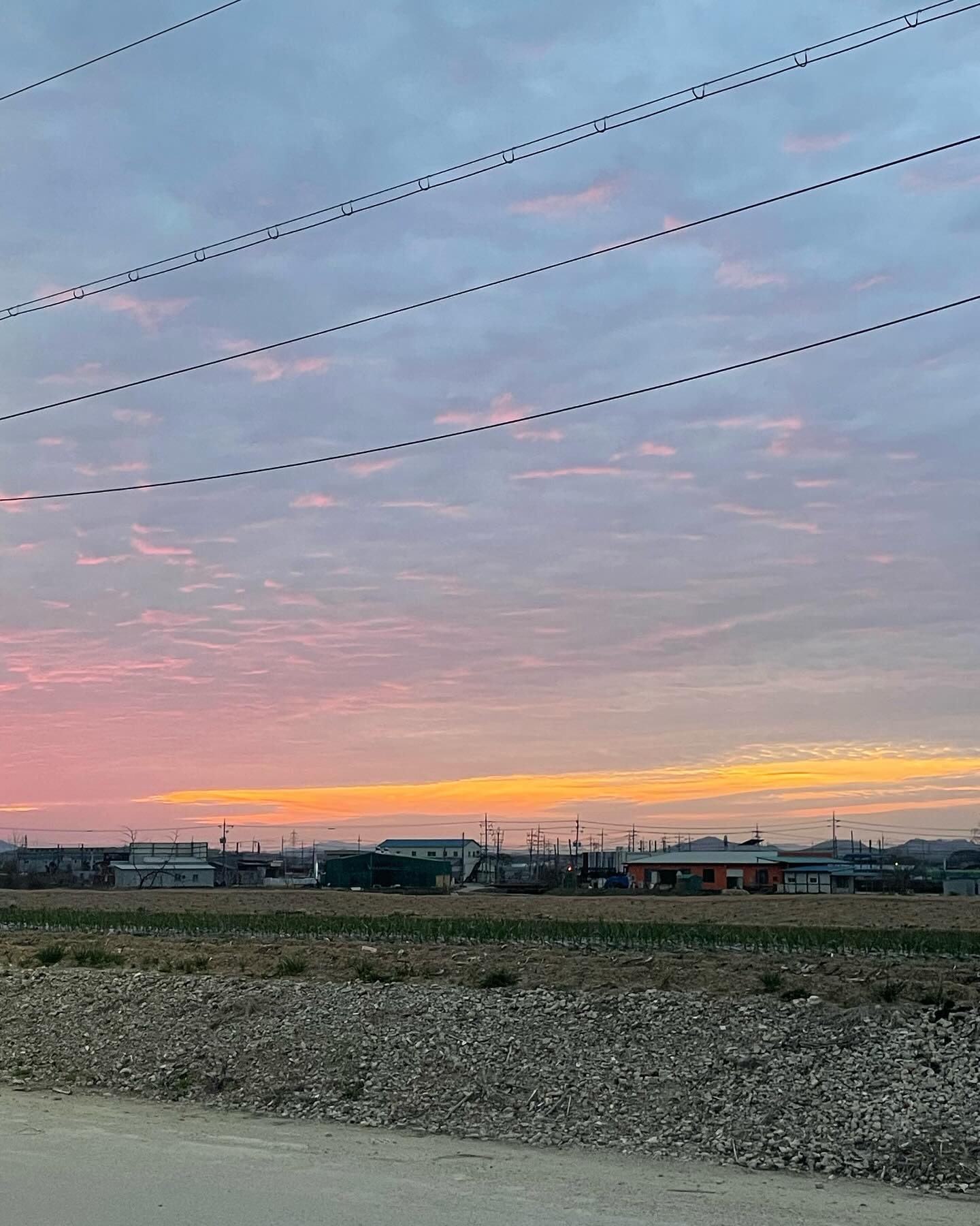딸기 몽땅 먹고 온 날🍓♥️

#논산 #논산딸기축제 #논산가볼만한곳