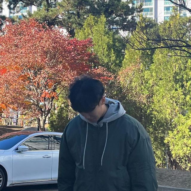 김우진 on Instagram: "#광고 가을가고 겨울⛄️ @standarderror_official 에서 에센셜 후드 레이어드 ma-1 패딩 점퍼 -딥그린을 제공받았습니다 레이어드 후드집업 탈부착이 되어 다양하게