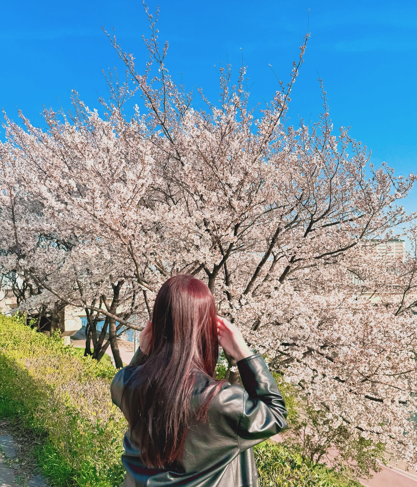 3번째 봄 🌸
