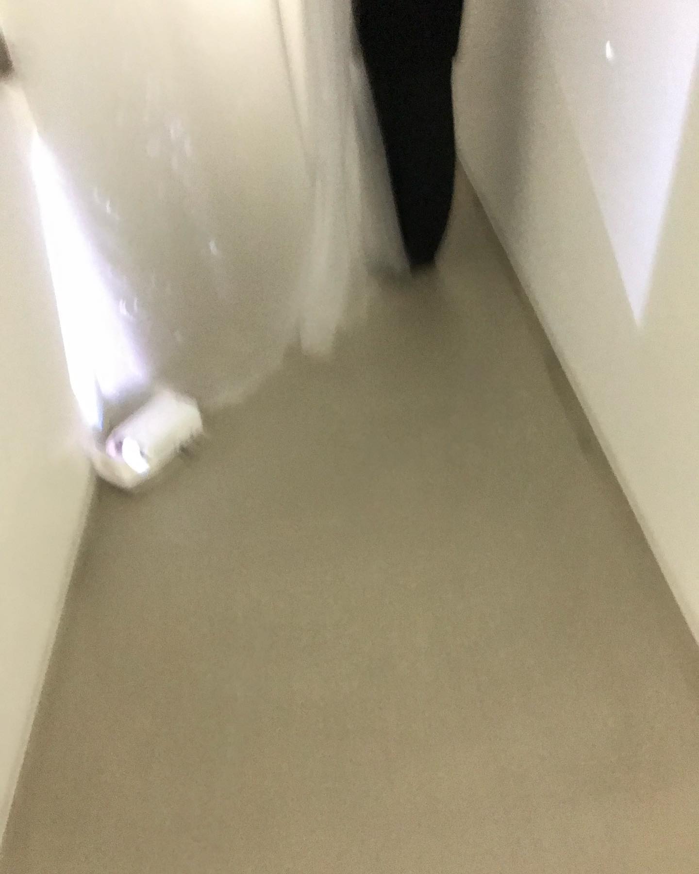 콘텐츠