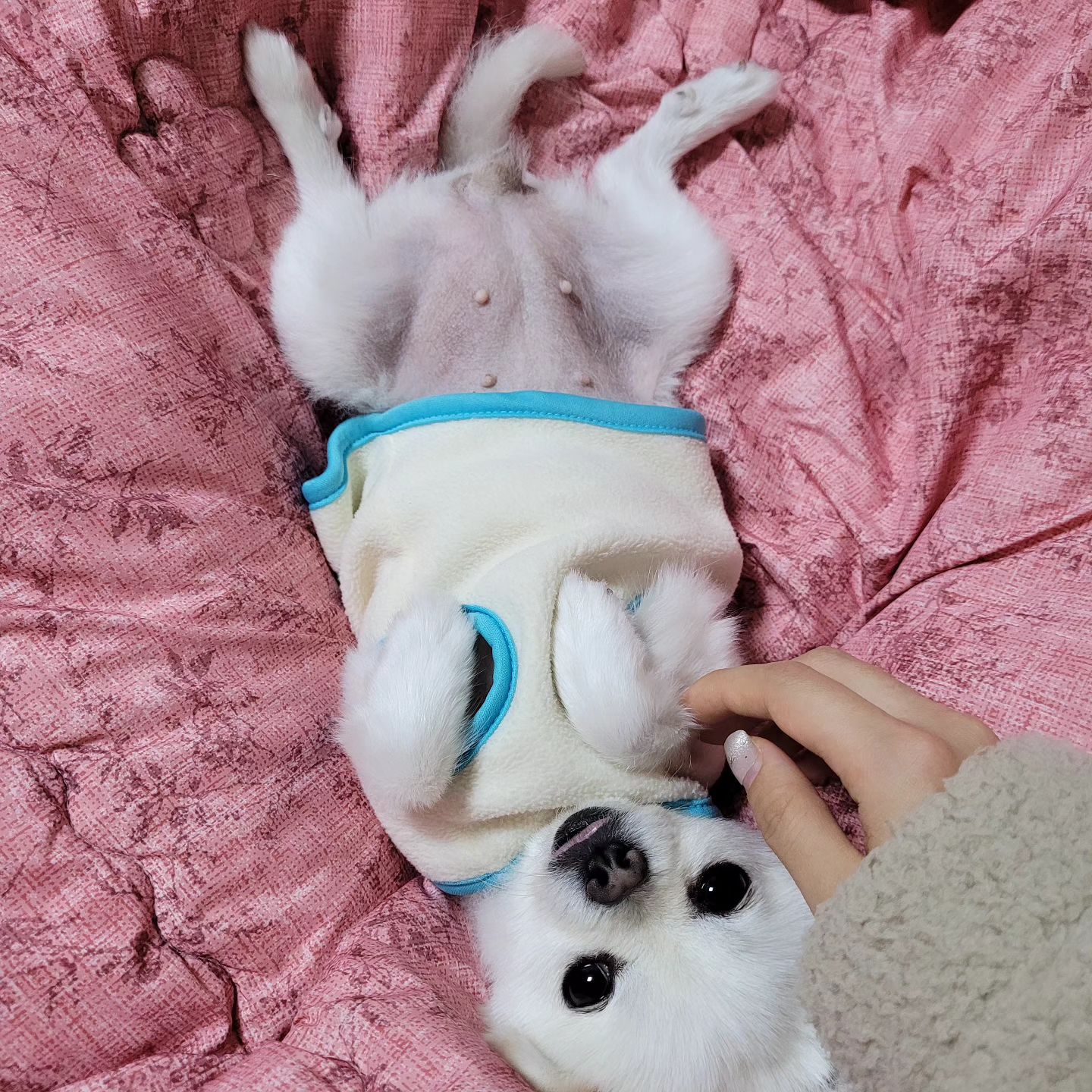 모해?