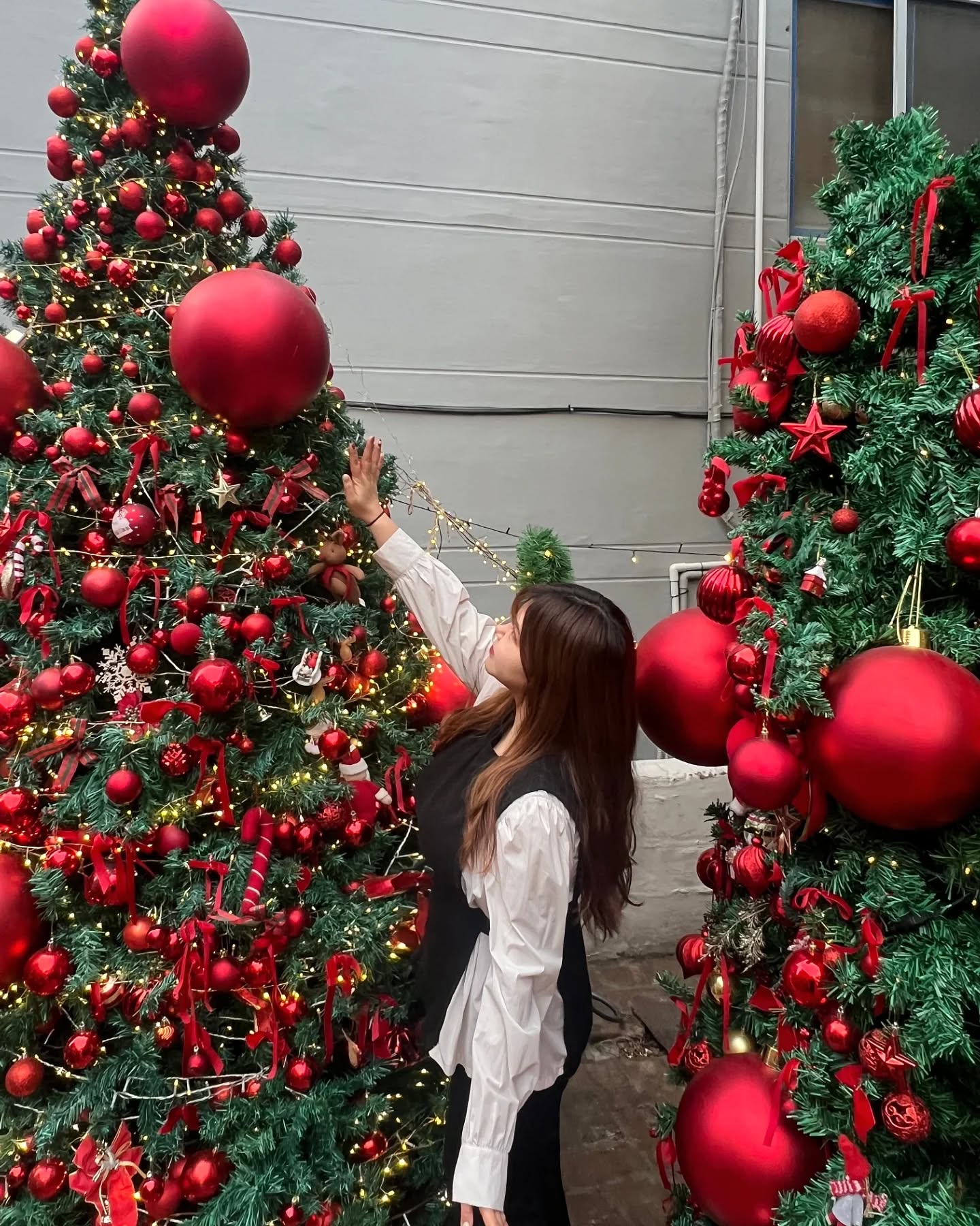 🎄⋆ᗰદ૨૨ʏ⋆ᐠ₍⁽˚⑅̆˚⁾₎ᐟ⋆ᘓમ૨ıડτന੨ડ⋆🎄