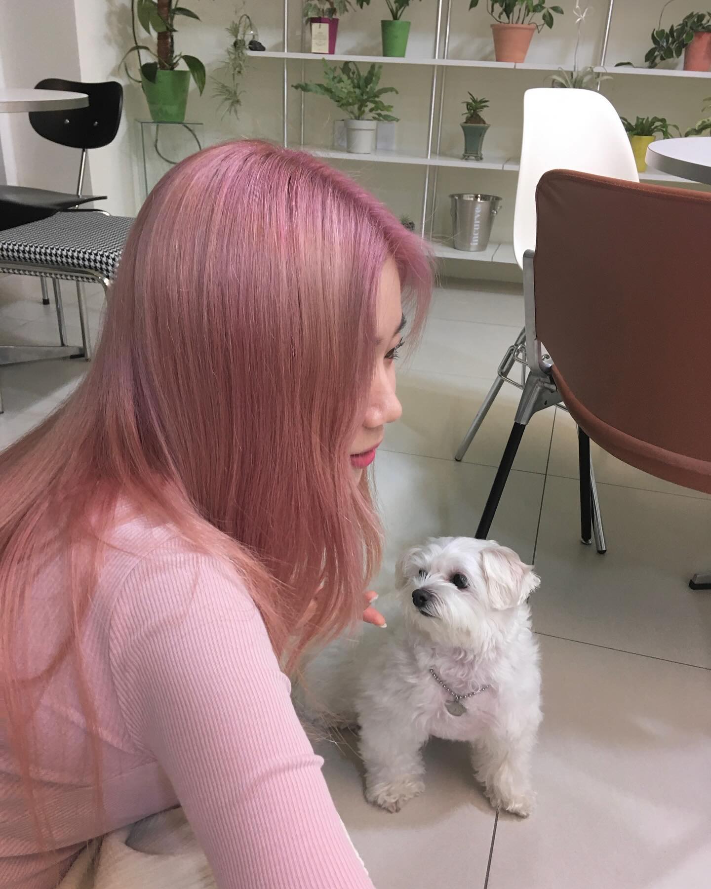 #협찬 애쉬핑크🎀🤍🩷

꼼꼼하게 상담해주시고, 원하는 컬러로 예쁘게 해주셔서 감사함당 🐰
머리는 onsohair_dunsan 종환원장님
