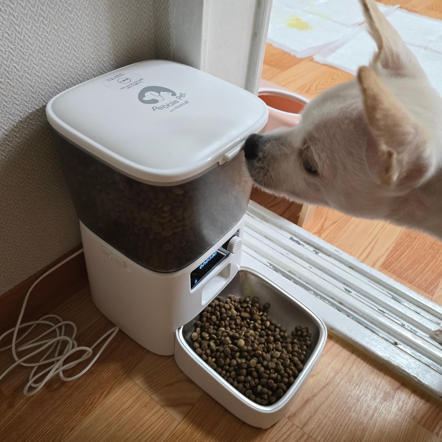 당직 때#급식기#강아지급식기 필요할 것 같아서 바로 질러버린#애견급식기
#페블펫#고양이급식기#자동급식기 인데 위생적인 스테인리스 식기라 좋다
게다가 어플로 연동가능한 스마트 원격 급여,, 얼매나 좋은데
사료통도 3.5L라 넉넉한데 반투명 소재라 잔여사료도 한 눈에 보이고
사료통 뚜껑에 제습제가 들어있어서 눅눅하지 않게 급여 가능해서 더 좋당
게다가 편리하게#분리세척 까지 가능해서 넘넘 좋아용

pebblepet_official
#협찬