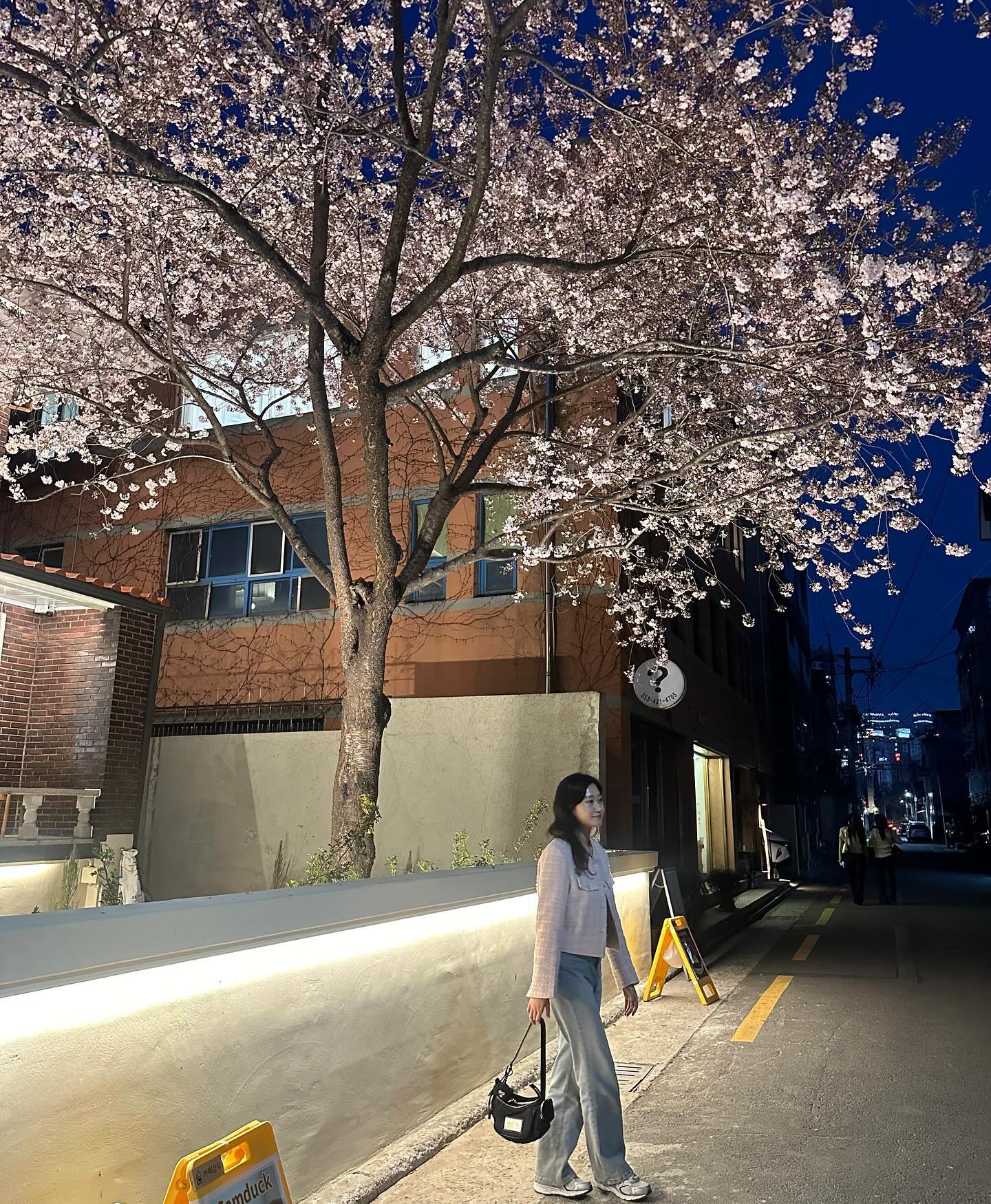 올 봄 첫벚꽃🌸💗
다음주면 더 예쁘겠지🥰 

🪞#카페삼덕 cafe_samduck 
📸 2024년 3월 23일
