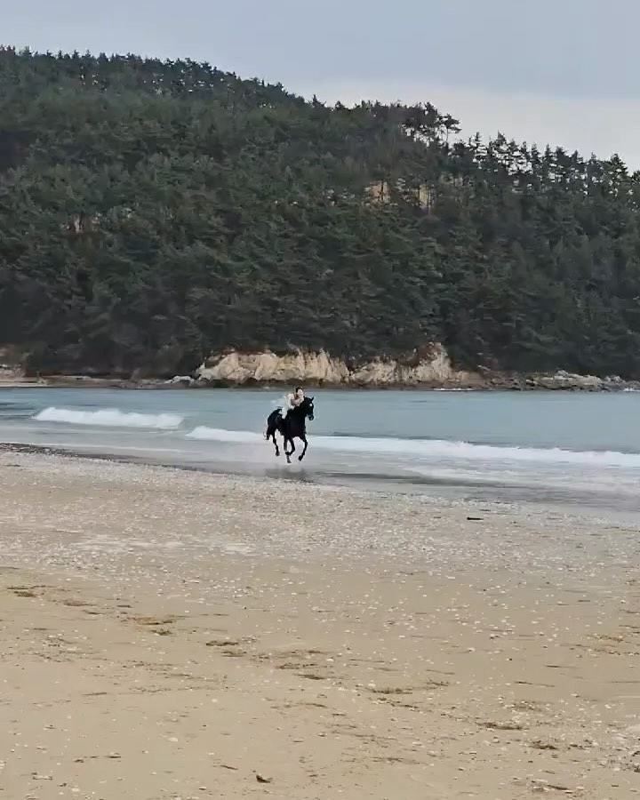 2023.11.12 SUN 보령 해변외승 
바람이차고 비도오고 중간에 우박도왔어요
사진 작가님들은100명도 넘게오시고
 드론도 날라다니고
첫 해변 외승이라 나도 말들도 코치님들도 걱정이 많았지만 
걱정이 무색하게 아름다운 풍경속에서 
시원한 바람을 맞으며 
달리는 동안 너무 행복하고 
얼굴에 흐르는 게 비인지 땀이지 모를 정도로 뜨거웠어요
나 또한 그 풍경이 된것같은 그림을 보며 
바로 어제의 일인데도 먼 옛날의 잊지못할 꿈 같아
생각만해도 벌써 그립고 행복하네요 
#horseriding #horse #equestrian #beachhorseriding #horselove #horserider #horsegirl #horsephoto #horseaddicted #승마 #해변승마 #말 #말타기 #말타는여배우 #승마촬영 #승마복장 #승마모델 #말타는여자 #외승 #해변외승