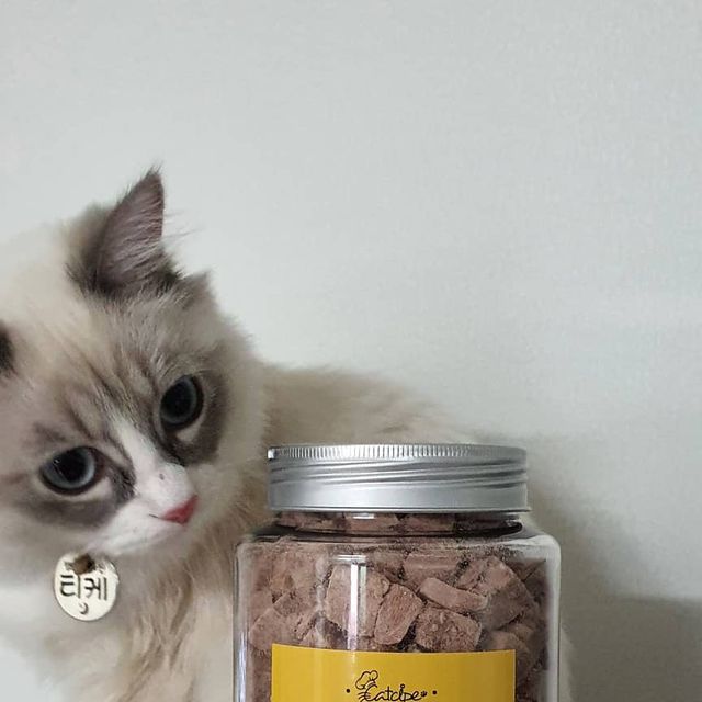 🌟티케에요🌟 on Instagram: "#체험단 #협찬 _ @buddypetmall 포슬포슬 맛있는 버디펫몰의 토핑트릿을 냠냠 먹었어용😻 토핑트릿은 대용량 츄르인 캣시피로 유명한 버디펫몰의 트릿이에요😼 . 토