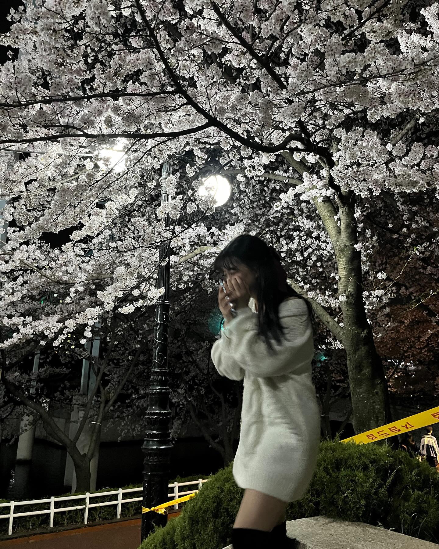 봄밤꽃🌸