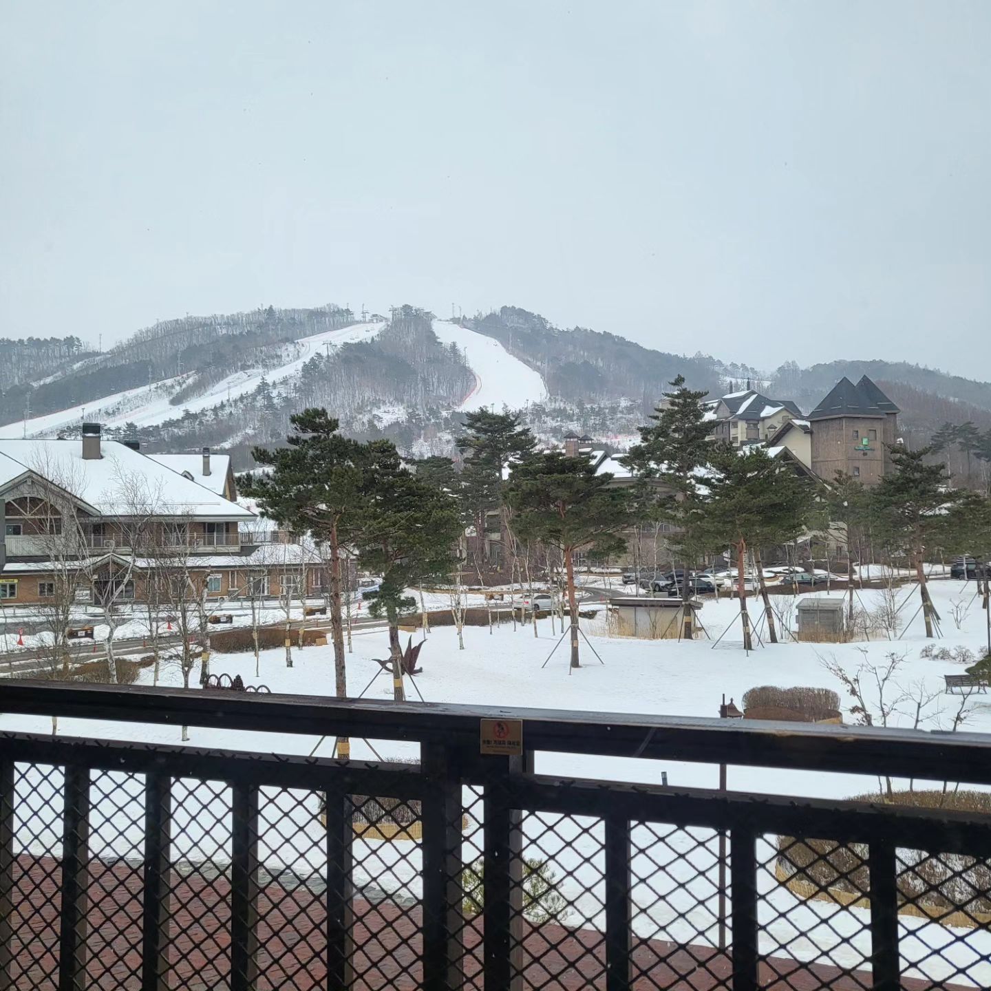 종일 눈이 펑펑 왔는데 스키장 와서 스키는 못타고 슬로프만 룸에서 원없이 보네 🥲 인터컨 안에 체험형 키카 새로 생겨서 공룡 수업도 해보고 오늘도 추억 많이 쌓인 둘 👨‍❤️‍💋‍👨
#평창여행